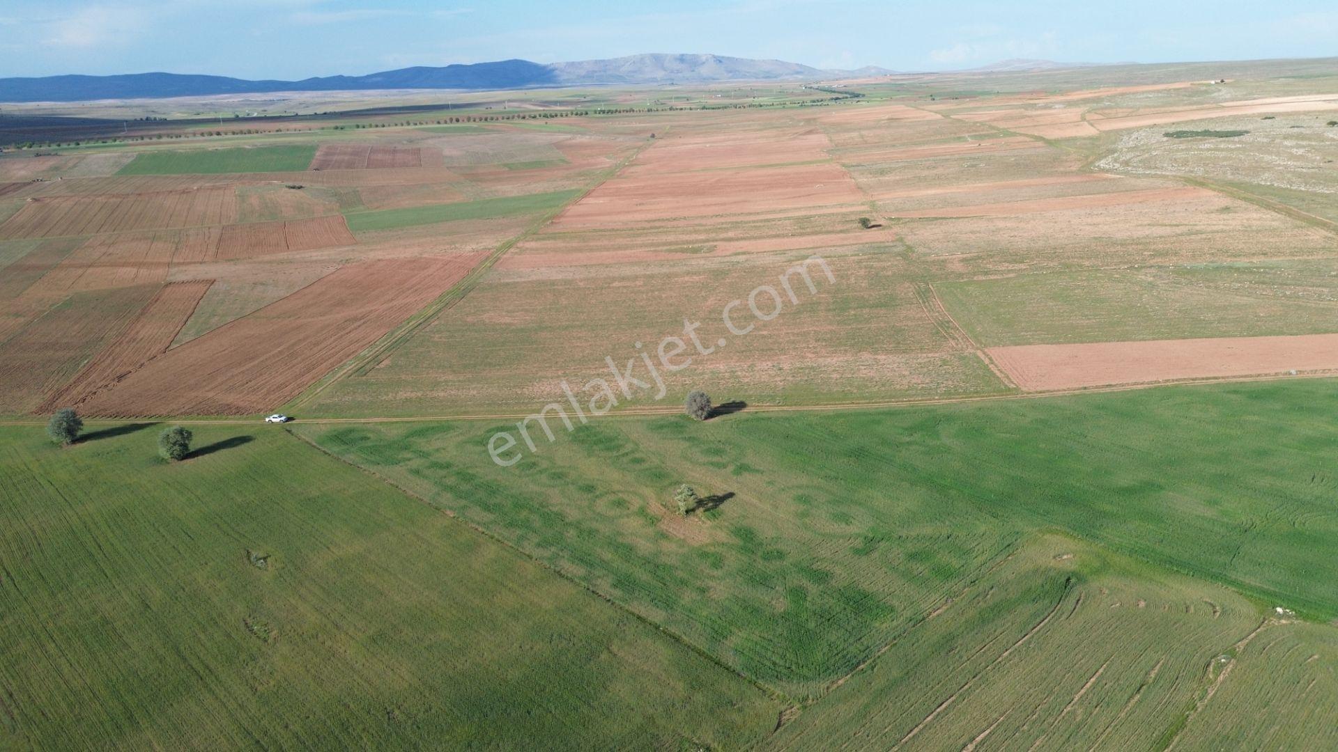 Konya / Akören / Hacılar Mahallesinde 8.892 M² Müstakil Tapulu Tarla - Görsel 14