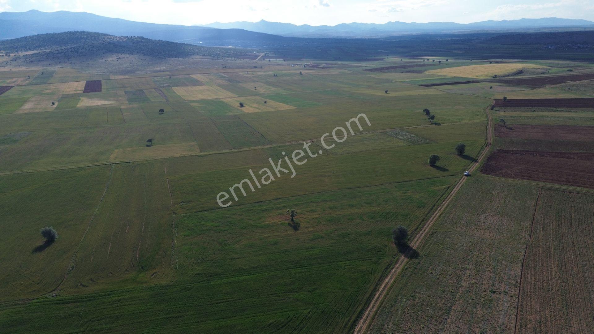 Konya / Akören / Hacılar Mahallesinde 8.892 M² Müstakil Tapulu Tarla - Görsel 25
