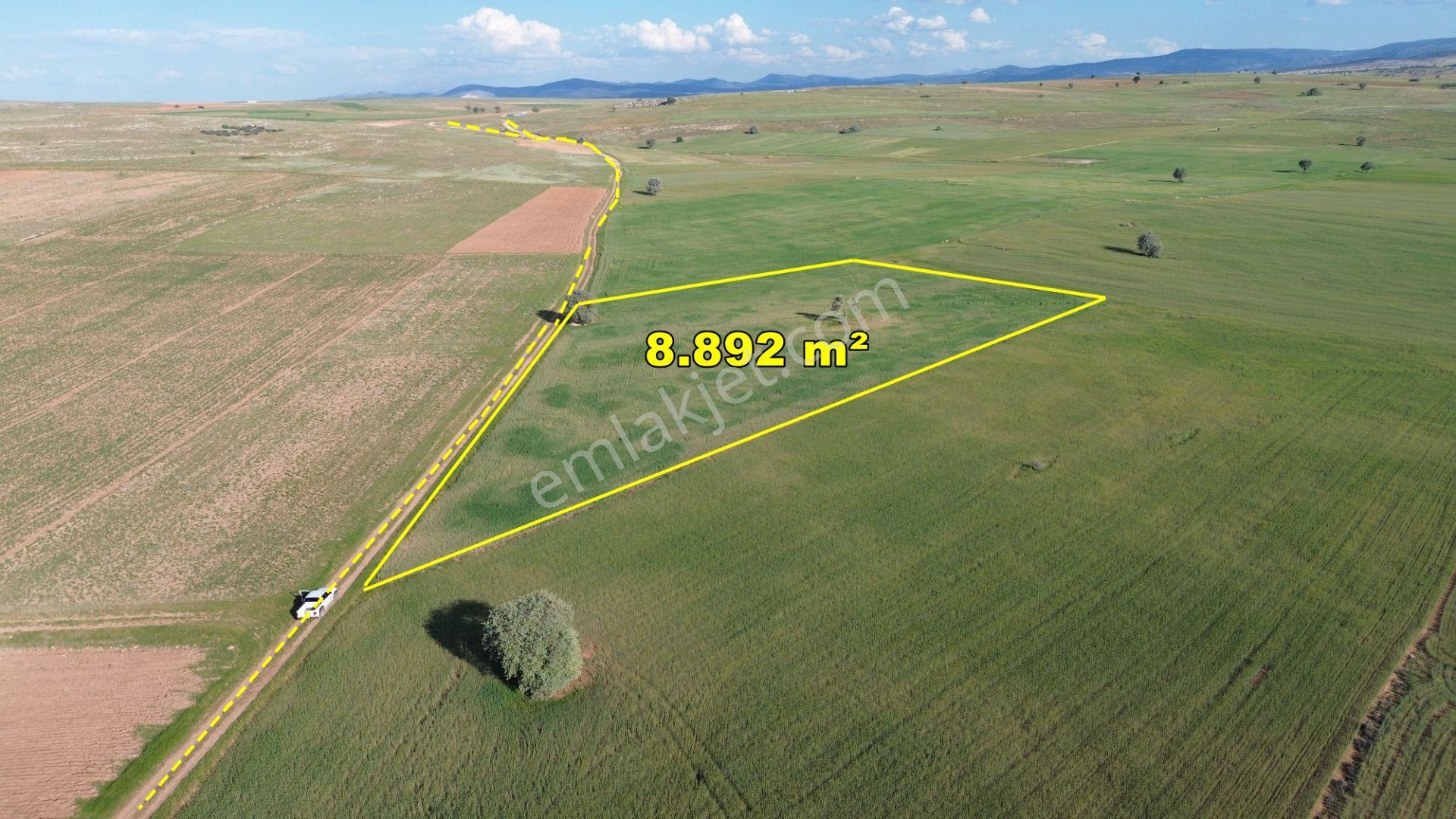 Konya / Akören / Hacılar Mahallesinde 8.892 M² Müstakil Tapulu Tarla - Görsel 2