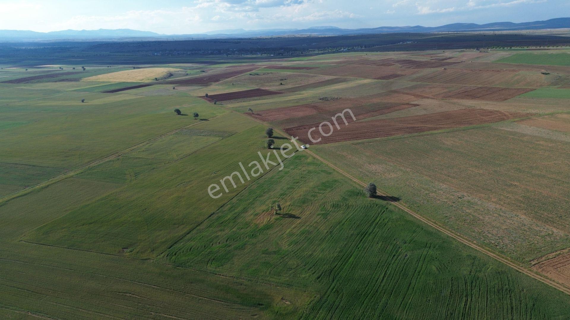 Konya / Akören / Hacılar Mahallesinde 8.892 M² Müstakil Tapulu Tarla - Görsel 18