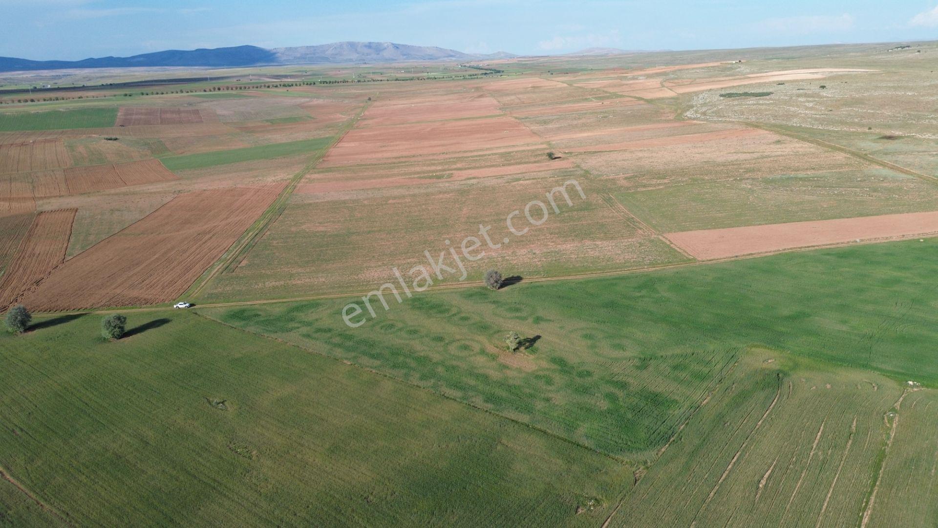 Konya / Akören / Hacılar Mahallesinde 8.892 M² Müstakil Tapulu Tarla - Görsel 13