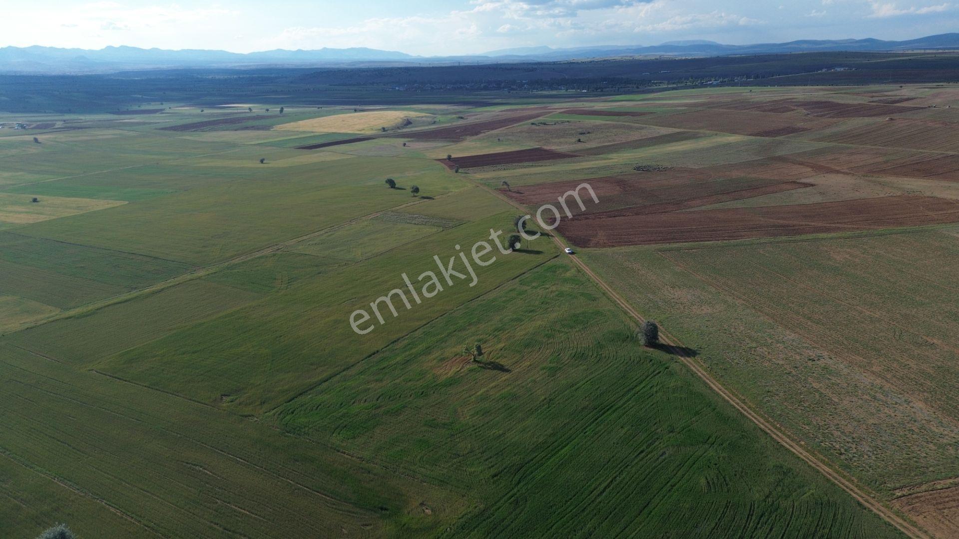Konya / Akören / Hacılar Mahallesinde 8.892 M² Müstakil Tapulu Tarla - Görsel 19