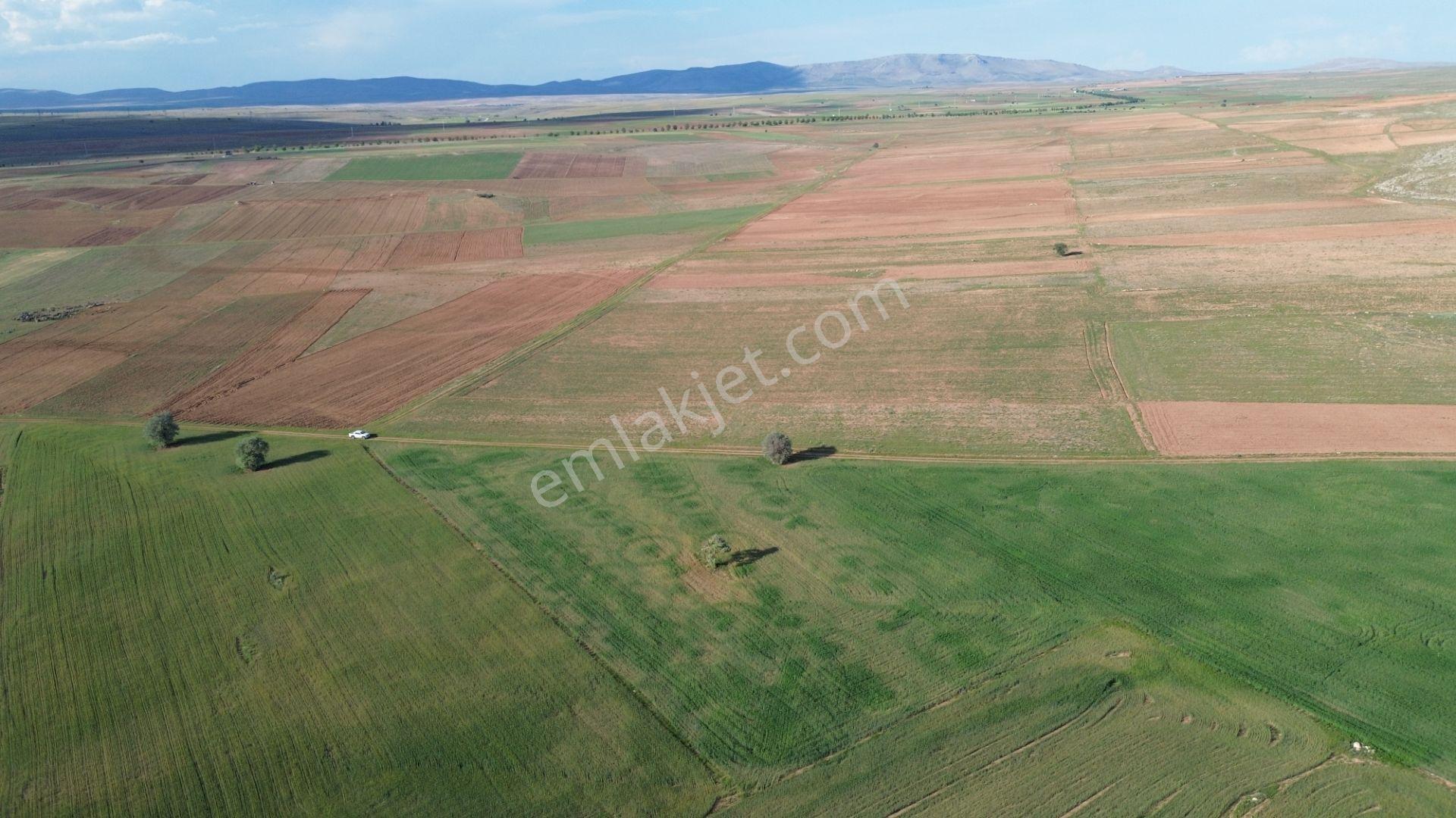 Konya / Akören / Hacılar Mahallesinde 8.892 M² Müstakil Tapulu Tarla - Görsel 15