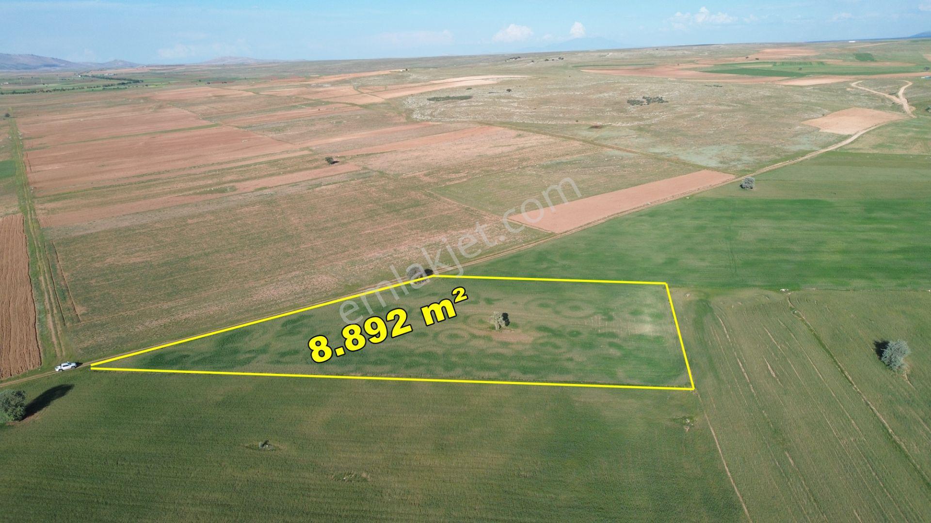 Konya / Akören / Hacılar Mahallesinde 8.892 M² Müstakil Tapulu Tarla - Görsel 3