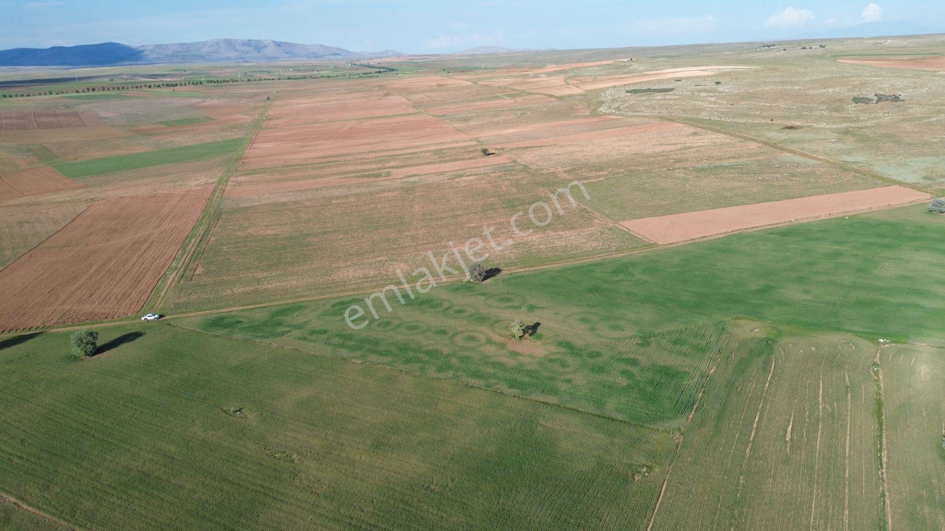 Konya / Akören / Hacılar Mahallesinde 8.892 M² Müstakil Tapulu Tarla - Görsel 12