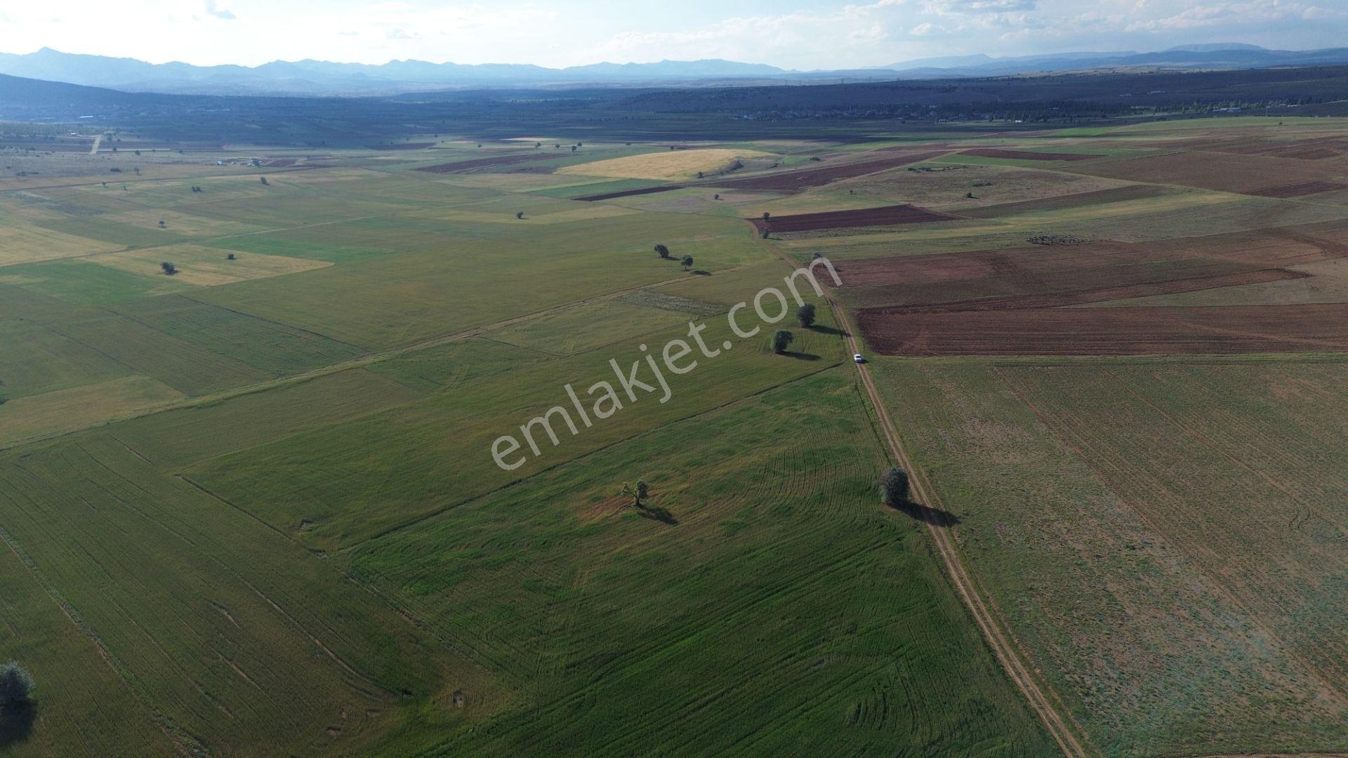 Konya / Akören / Hacılar Mahallesinde 8.892 M² Müstakil Tapulu Tarla - Görsel 21