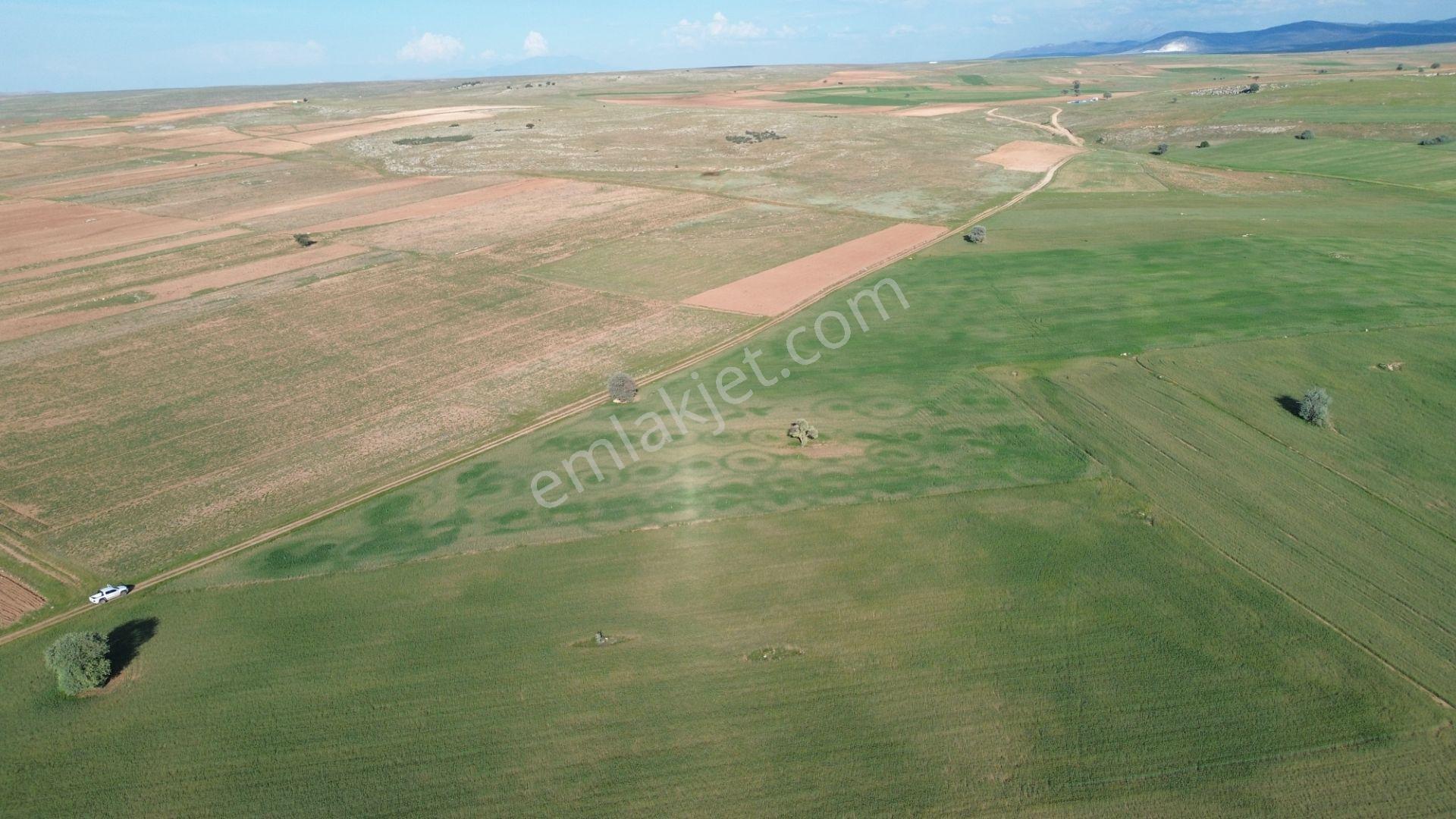 Konya / Akören / Hacılar Mahallesinde 8.892 M² Müstakil Tapulu Tarla - Görsel 9