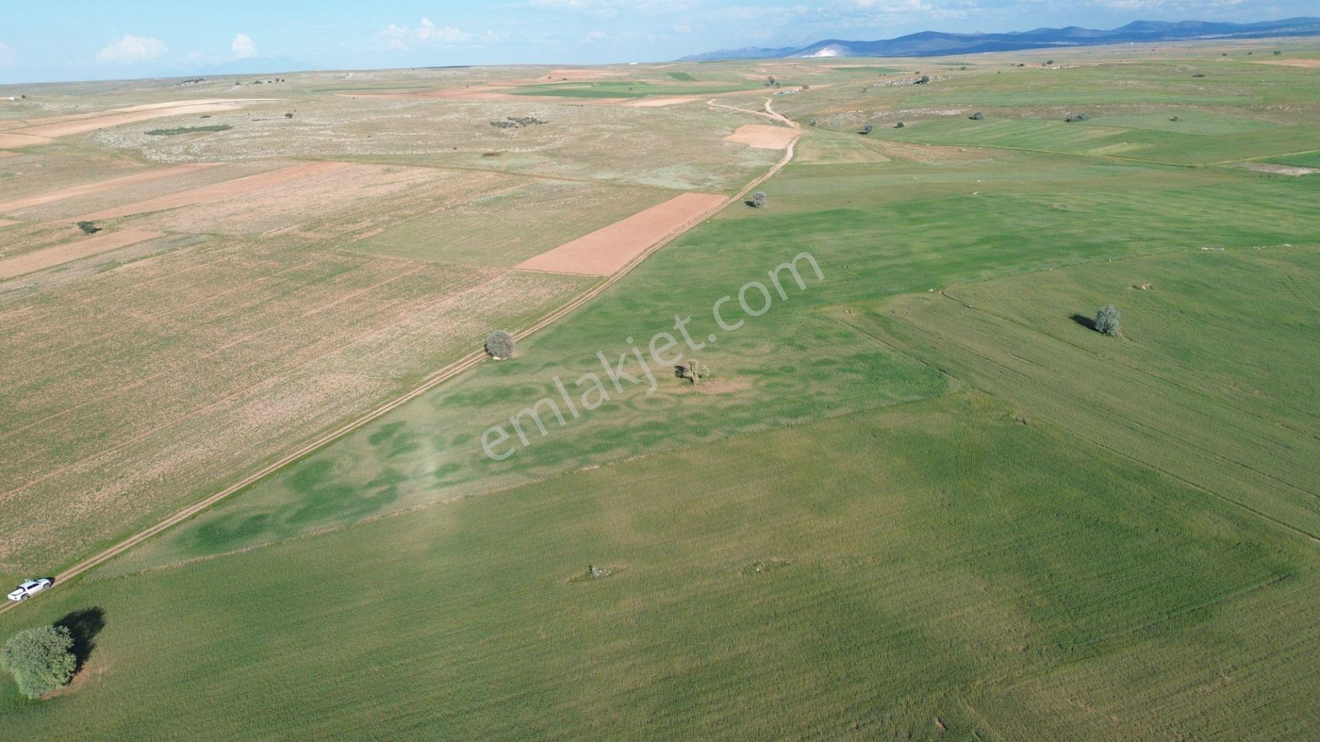 Konya / Akören / Hacılar Mahallesinde 8.892 M² Müstakil Tapulu Tarla - Görsel 8