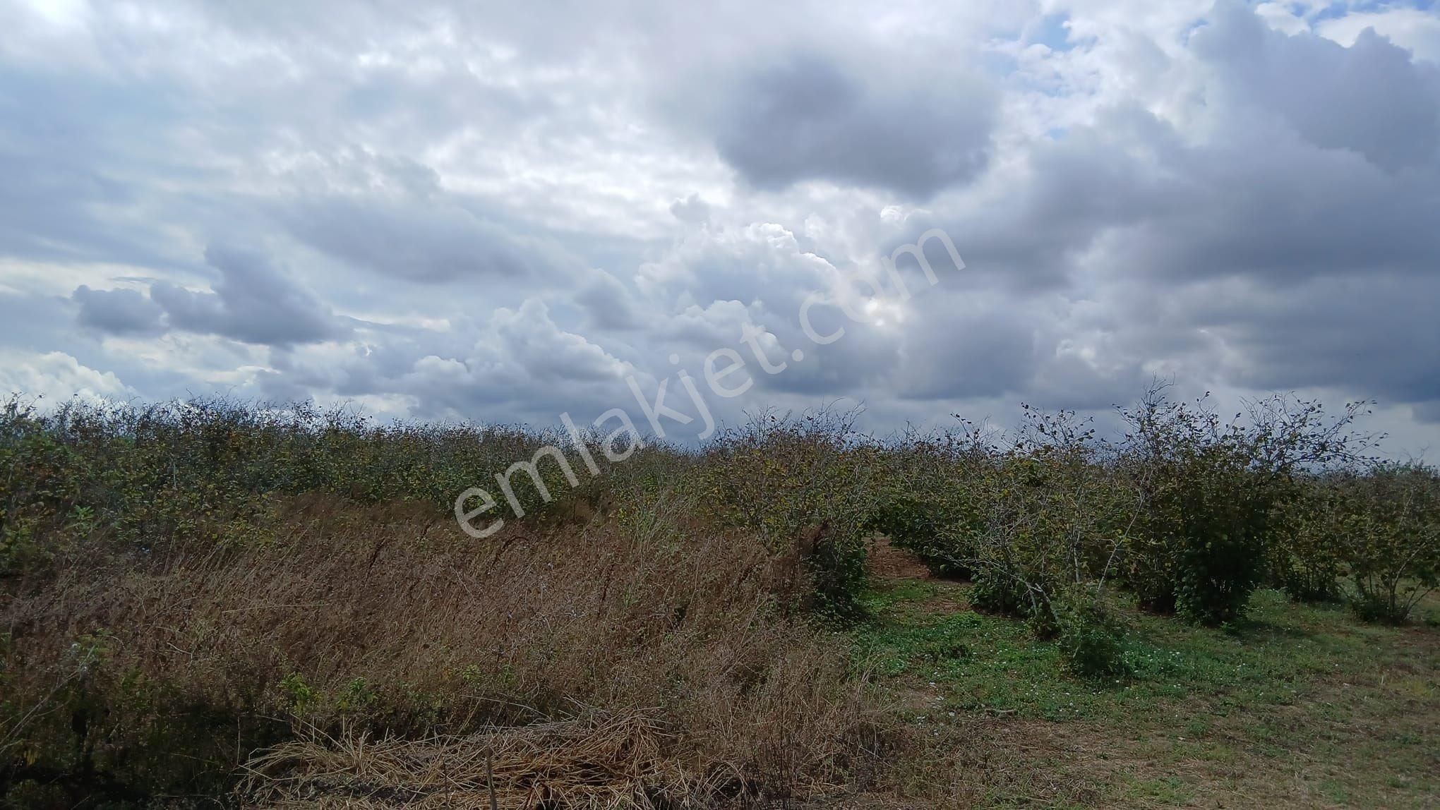 Denız Manzaralı Bungalovluk Tarla Pazarlık Payı Vardır