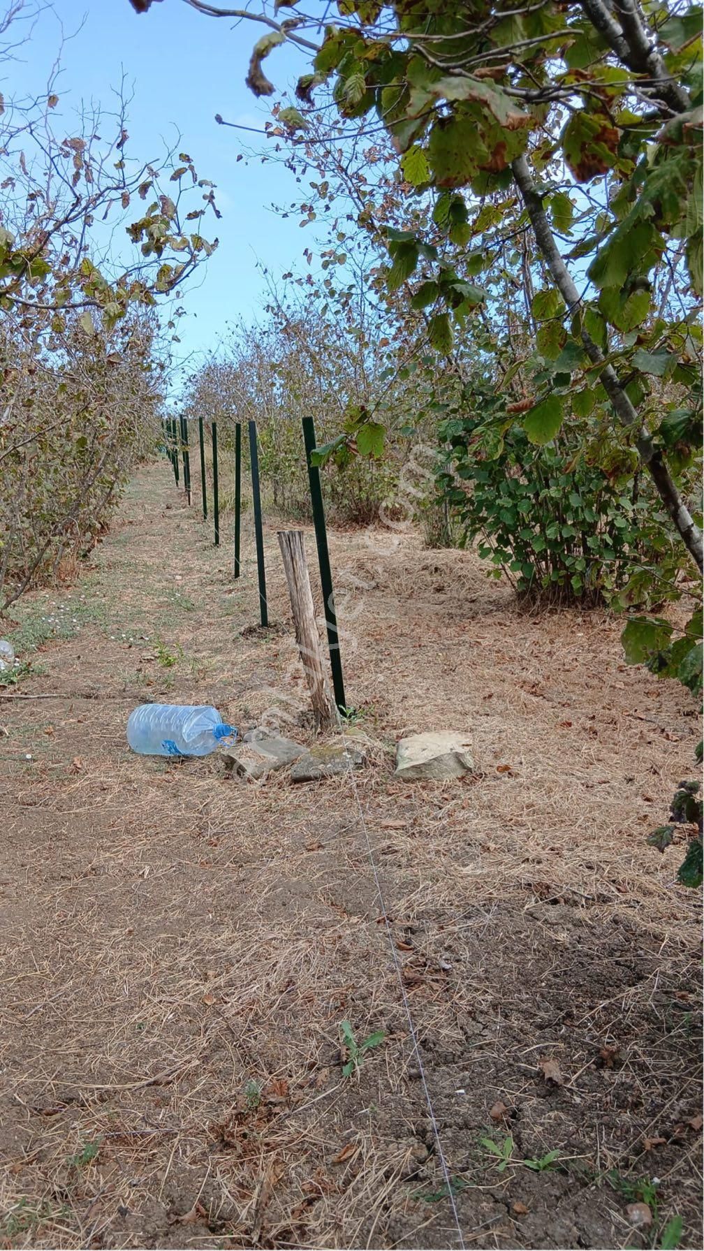 Denız Manzaralı Bungalovluk Tarla Pazarlık Payı Vardır - Görsel 9