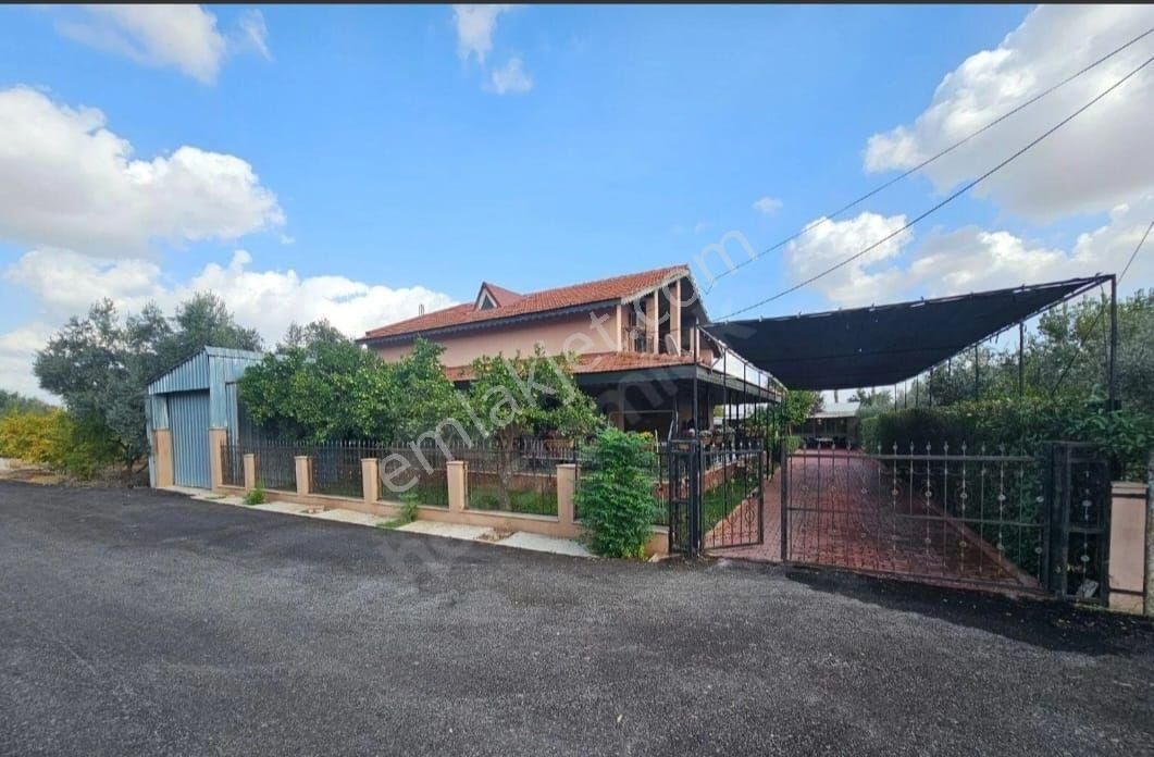 Avg Den Döşemealtında İki Ayrı Müstakil Ev - Görsel 4