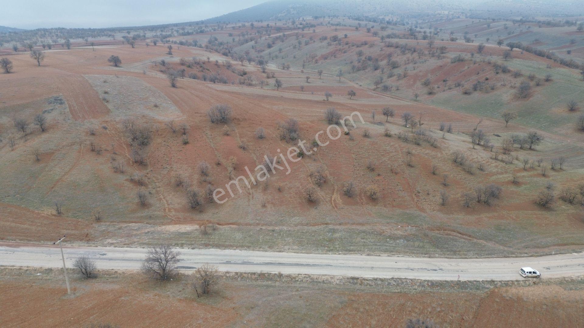 Konya / Güneysınır / Kızılöz Mahallesinde 673 M² Müstakil Tapulu Tarla - Görsel 6