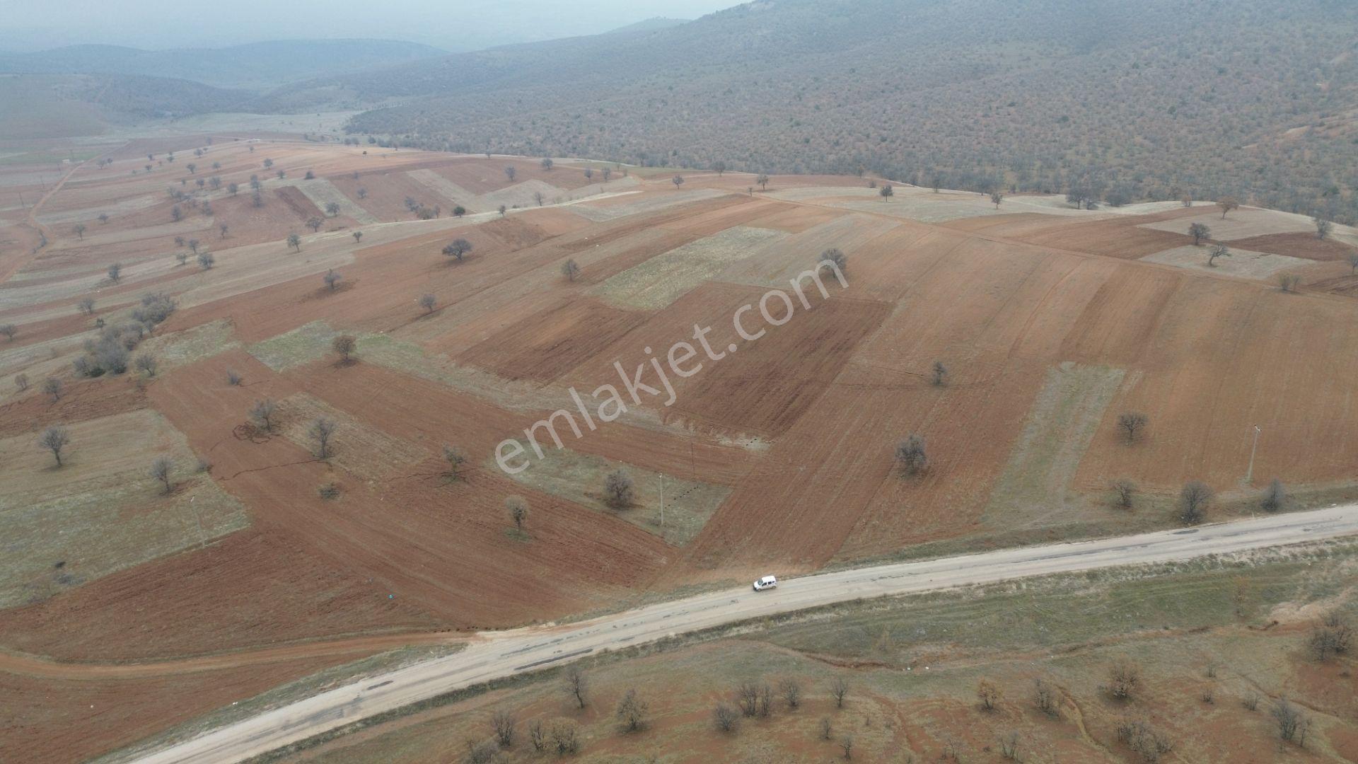 Konya / Güneysınır / Kızılöz Mahallesinde 673 M² Müstakil Tapulu Tarla - Görsel 12