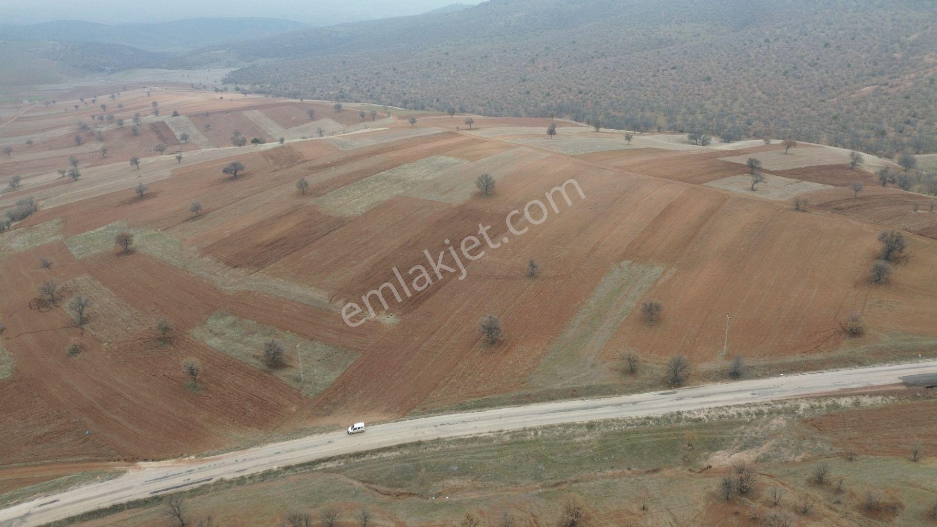 Konya / Güneysınır / Kızılöz Mahallesinde 673 M² Müstakil Tapulu Tarla - Görsel 13