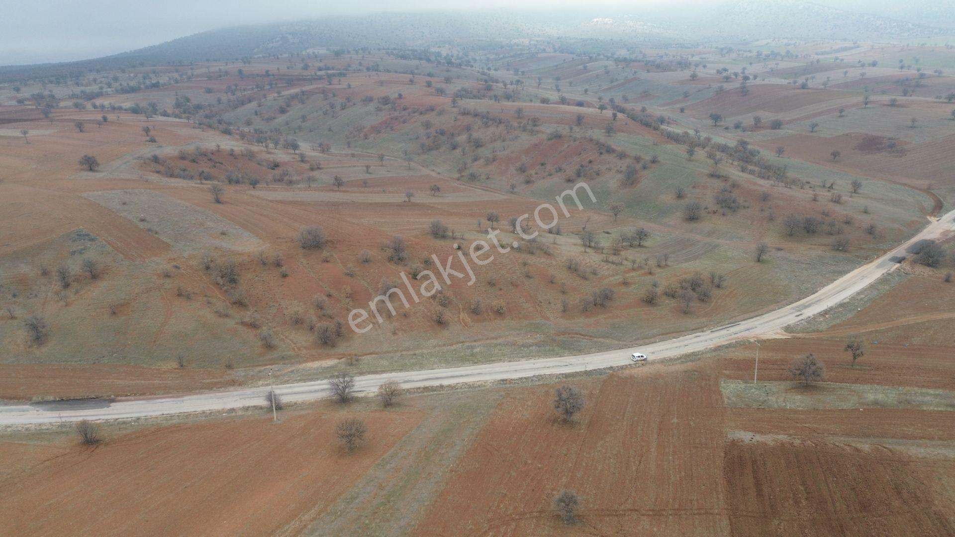 Konya / Güneysınır / Kızılöz Mahallesinde 673 M² Müstakil Tapulu Tarla - Görsel 19