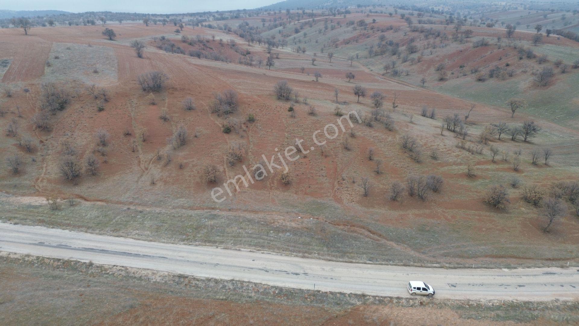 Konya / Güneysınır / Kızılöz Mahallesinde 673 M² Müstakil Tapulu Tarla - Görsel 5