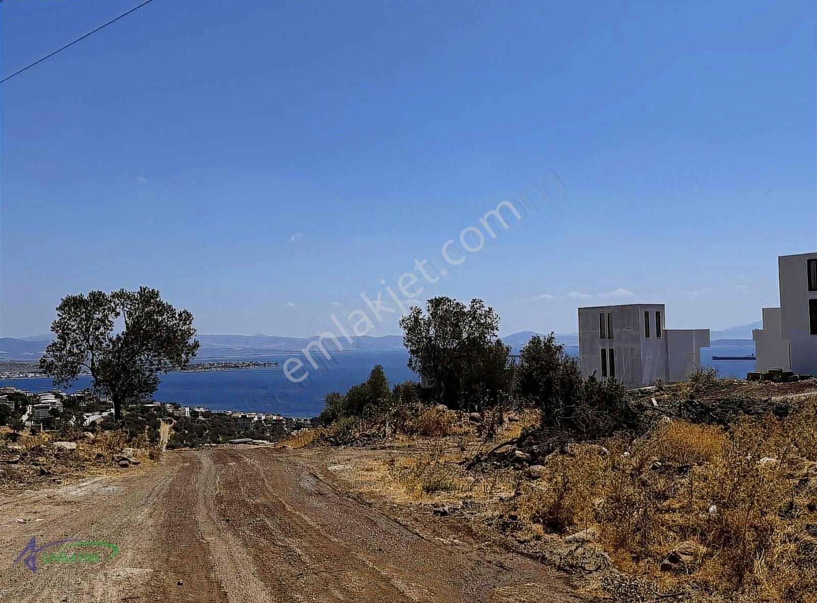 Çandarlıda Deniz Manzaralı Yola Yakın Kaçırılmayacak Zeytinlik - Görsel 3