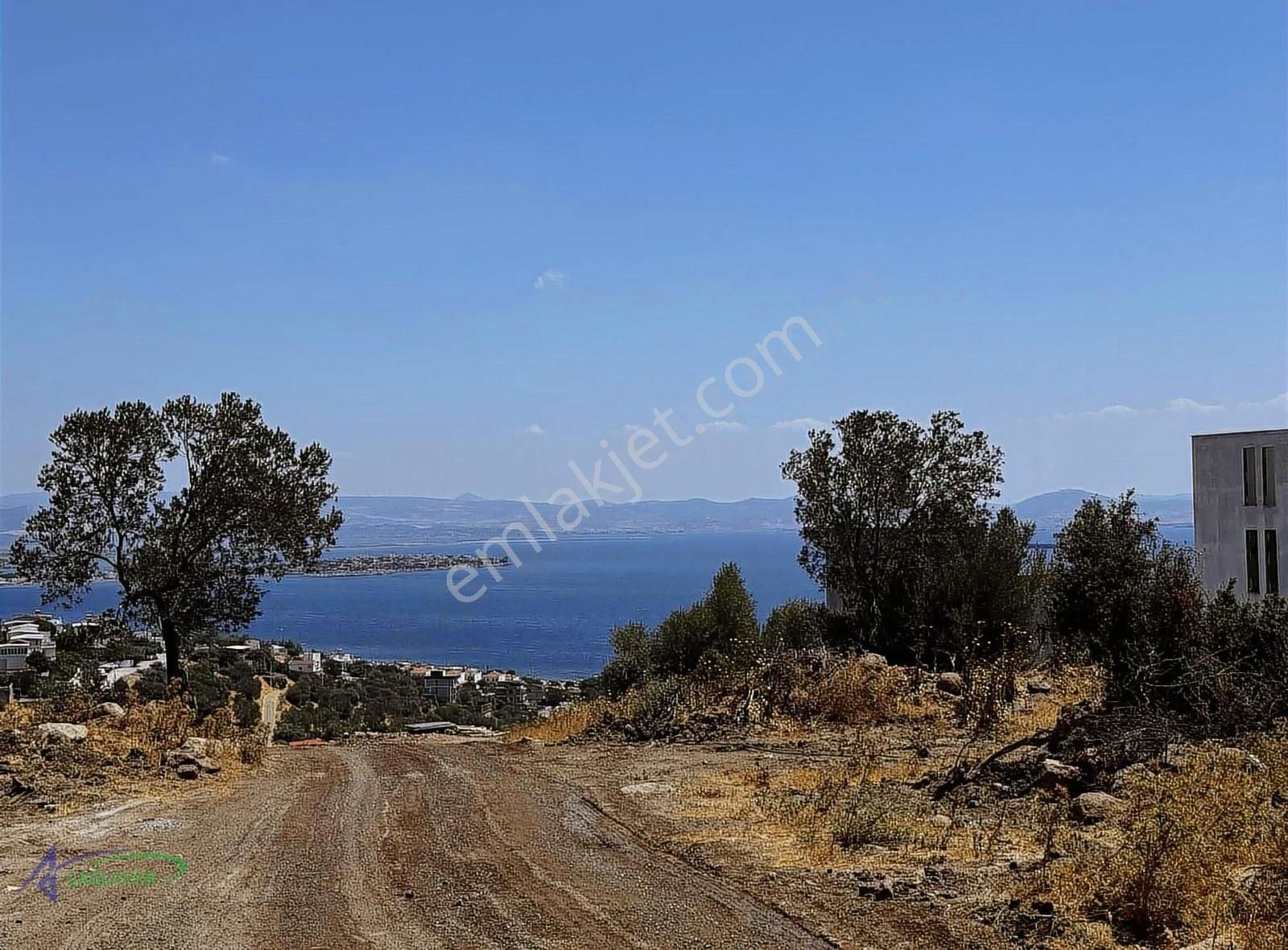 Çandarlıda Deniz Manzaralı Yola Yakın Kaçırılmayacak Zeytinlik - Görsel 2