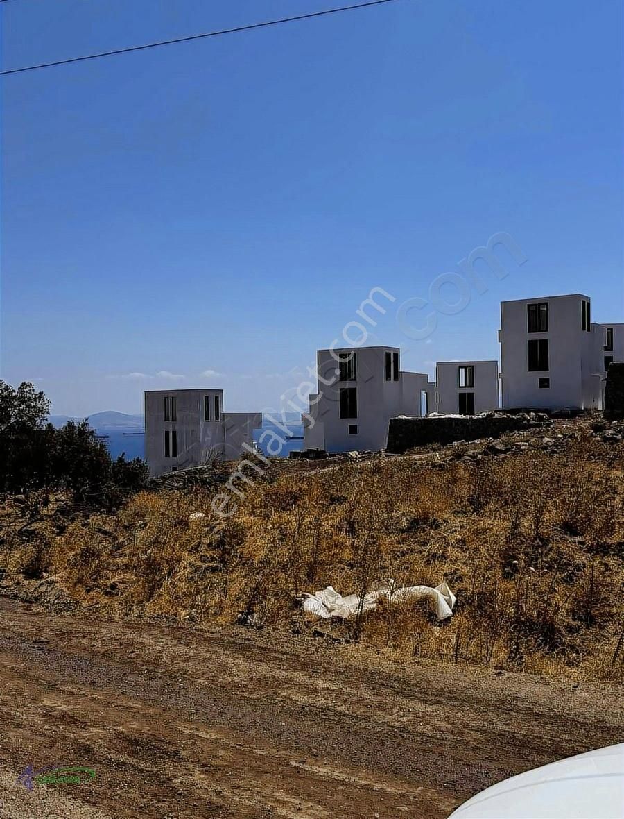 Çandarlıda Deniz Manzaralı Yola Yakın Kaçırılmayacak Zeytinlik - Görsel 4