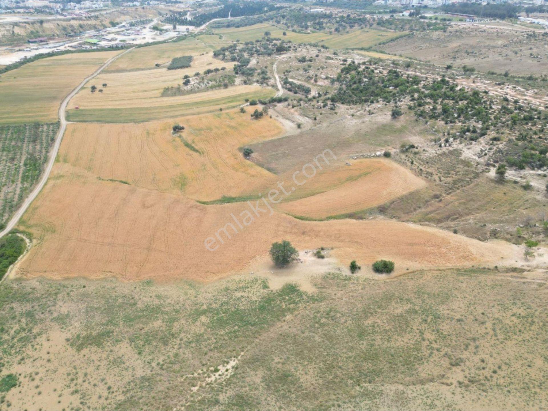 Ethereal'den Şehir Has. Cepheli 16 Kata İmarlı 18.130 Metre Arsa - Görsel 5