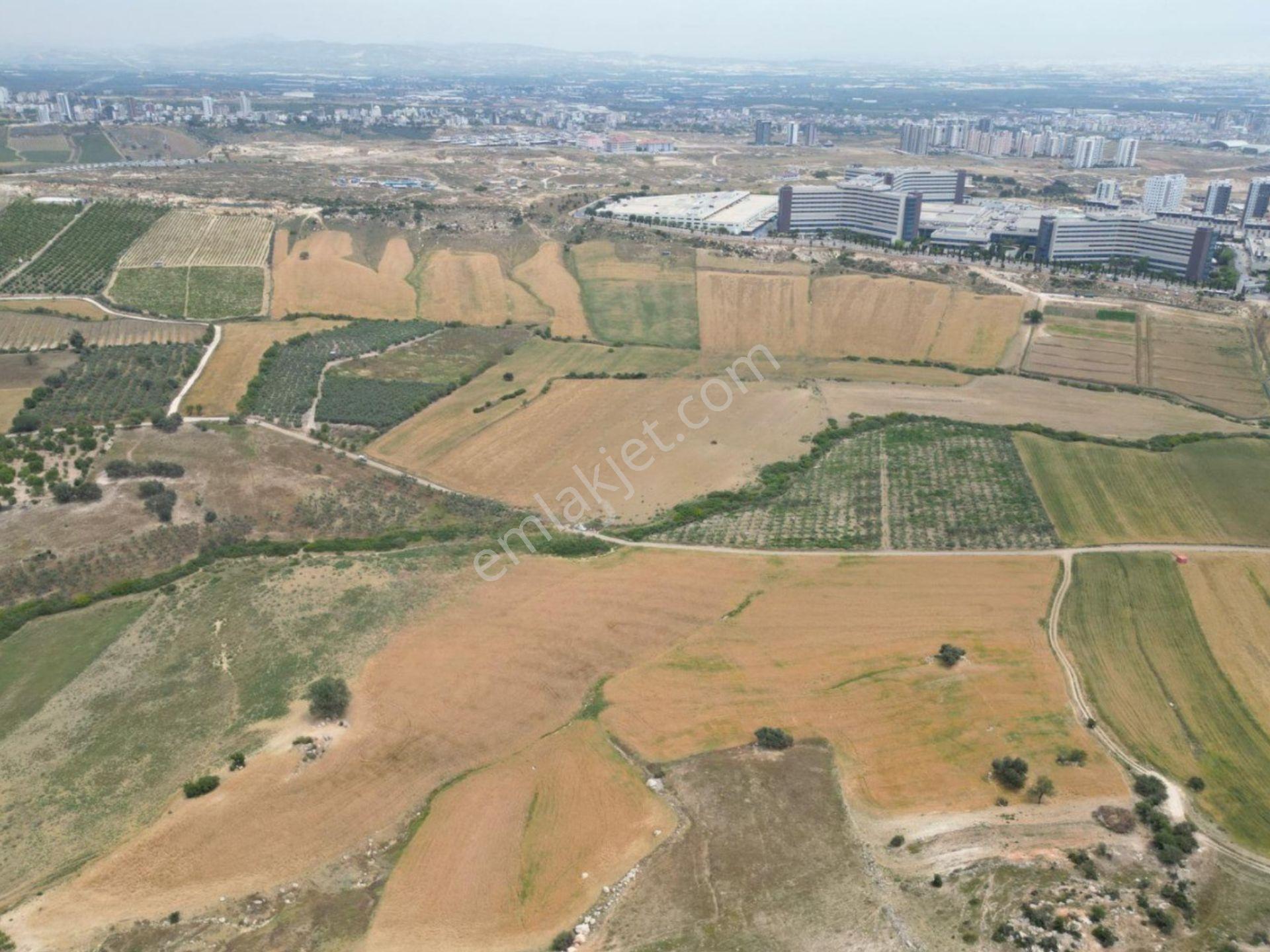 Ethereal'den Şehir Has. Cepheli 16 Kata İmarlı 18.130 Metre Arsa - Görsel 8