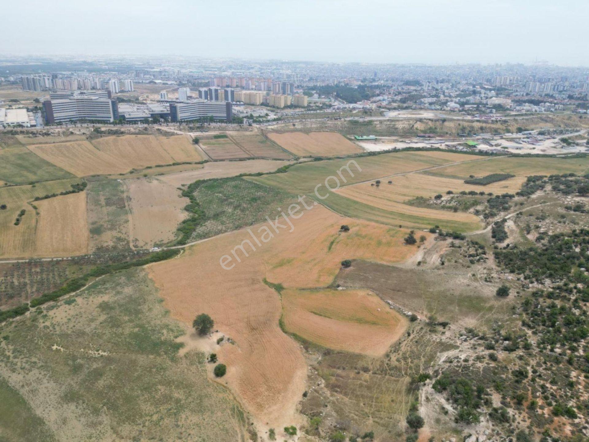 Ethereal'den Şehir Has. Cepheli 16 Kata İmarlı 18.130 Metre Arsa - Görsel 4
