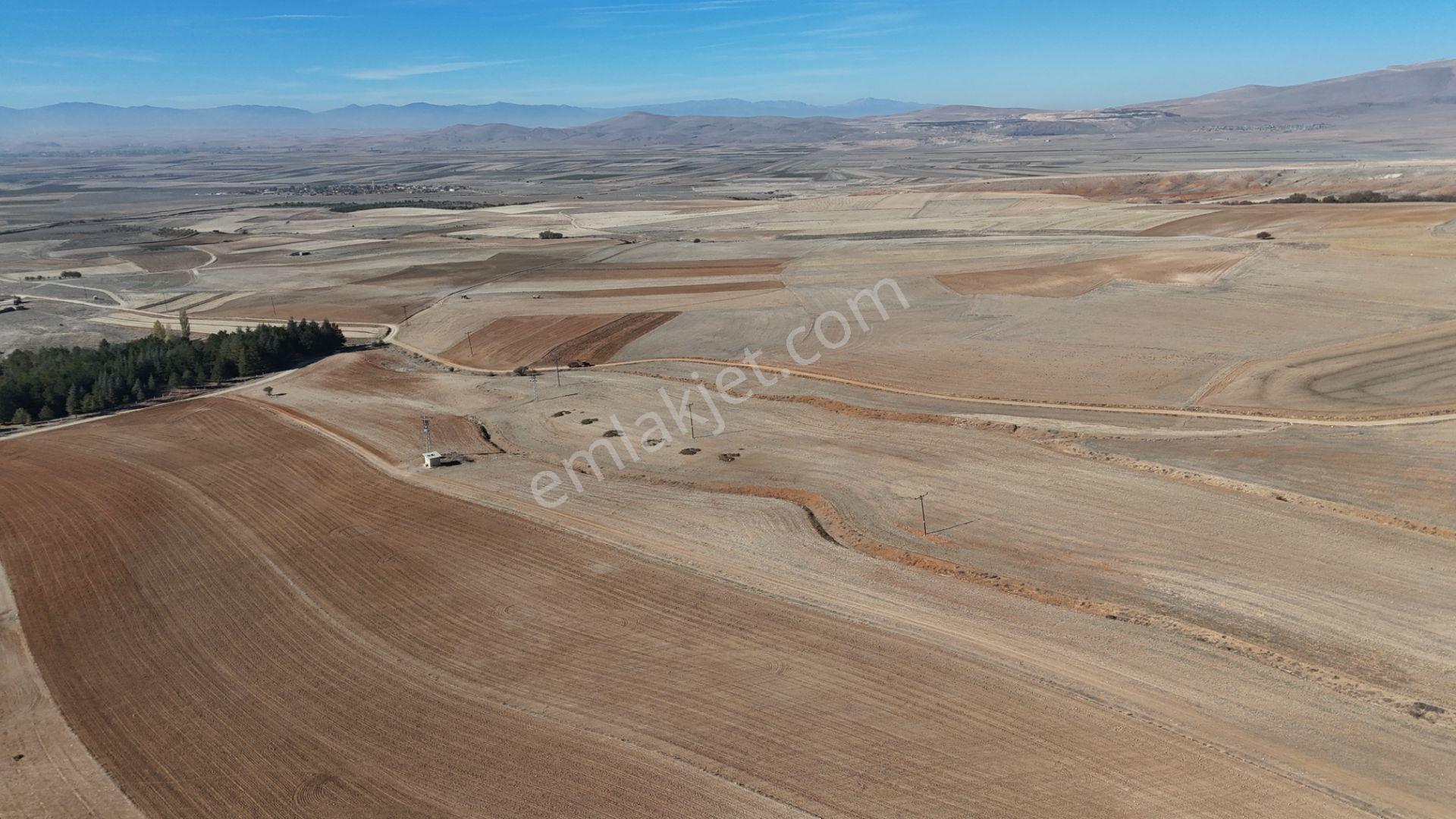 Konya / Ilgın / Dere Mahallesinde 1.369 M² Müstakil Tapulu Tarla - Görsel 16