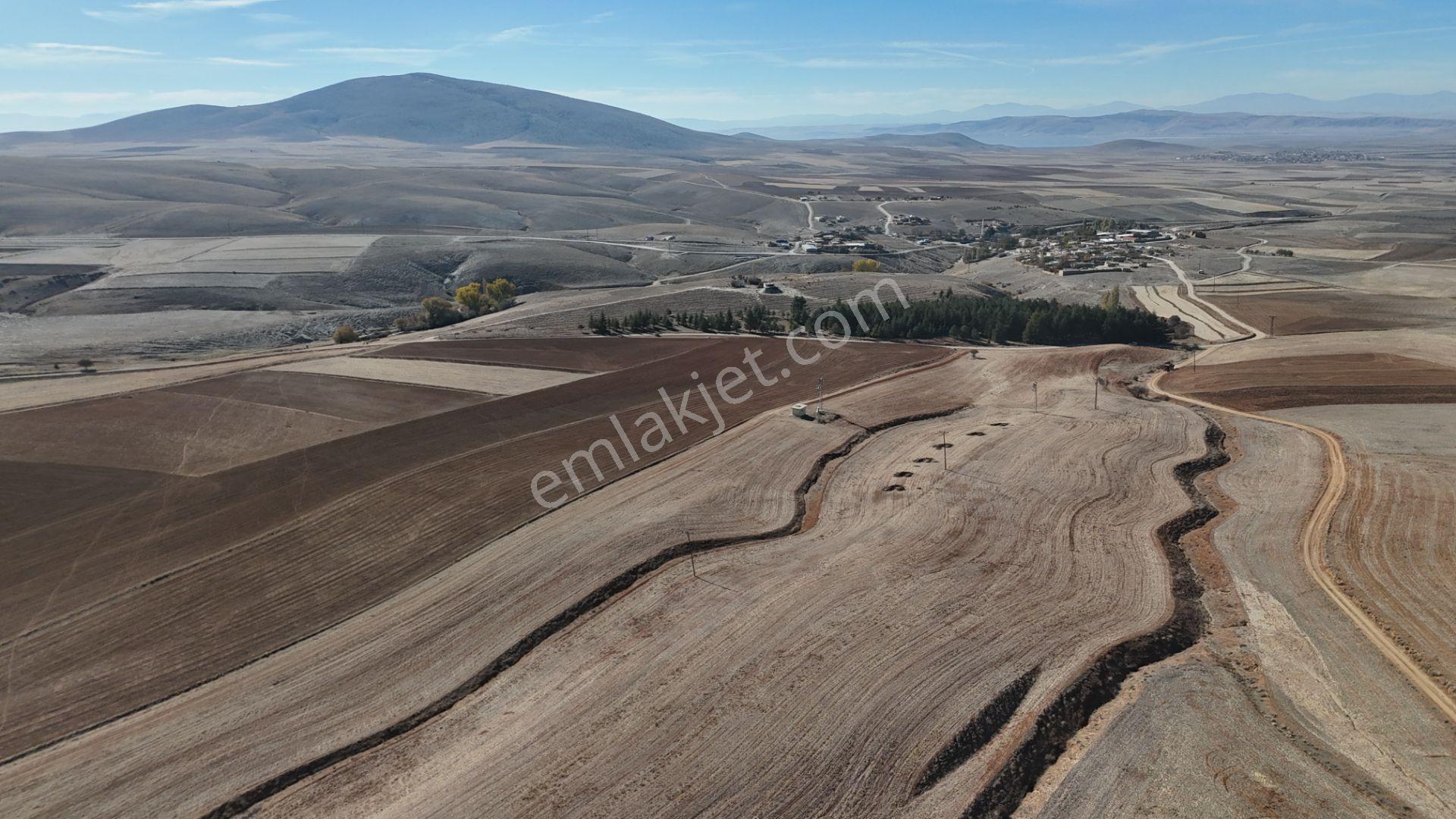 Konya / Ilgın / Dere Mahallesinde 1.369 M² Müstakil Tapulu Tarla - Görsel 12