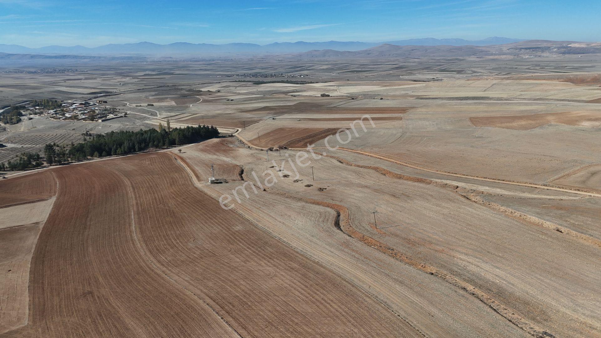 Konya / Ilgın / Dere Mahallesinde 1.369 M² Müstakil Tapulu Tarla - Görsel 15