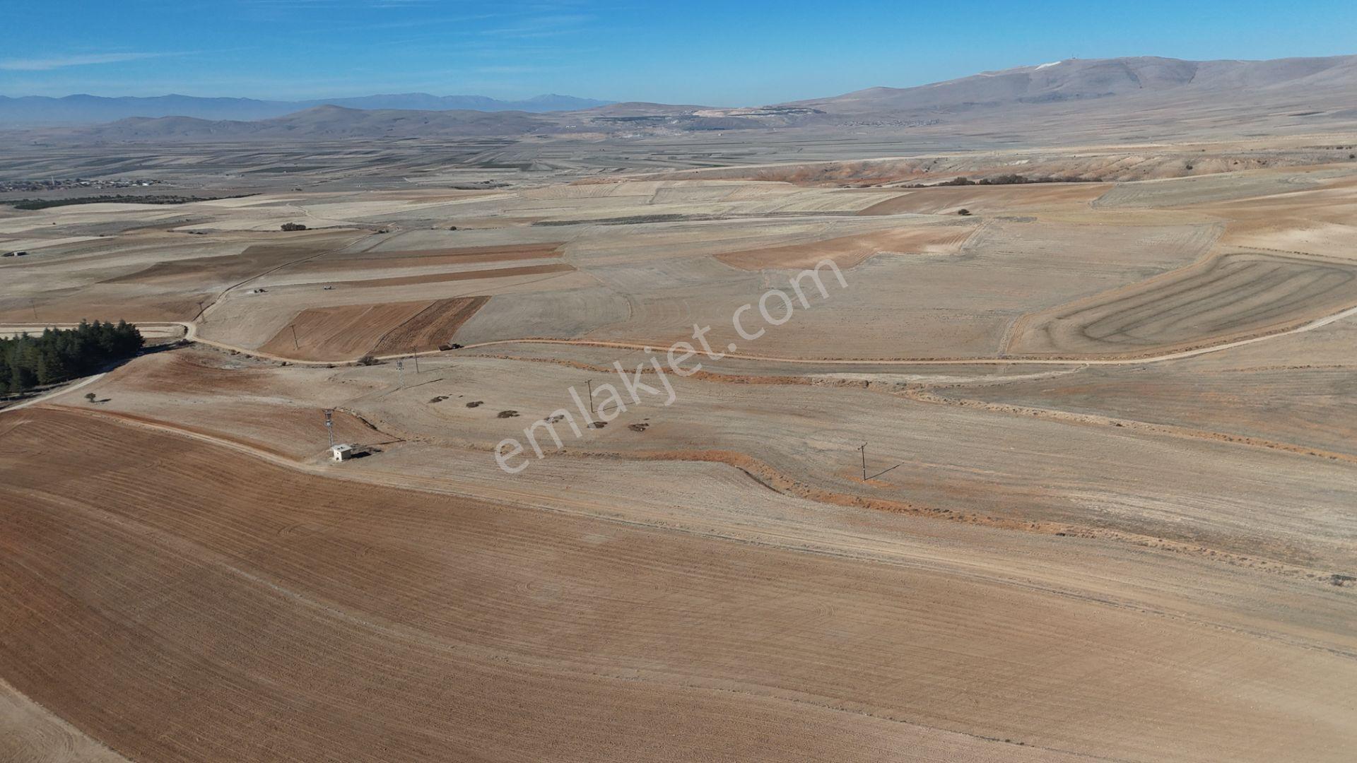 Konya / Ilgın / Dere Mahallesinde 1.369 M² Müstakil Tapulu Tarla - Görsel 17