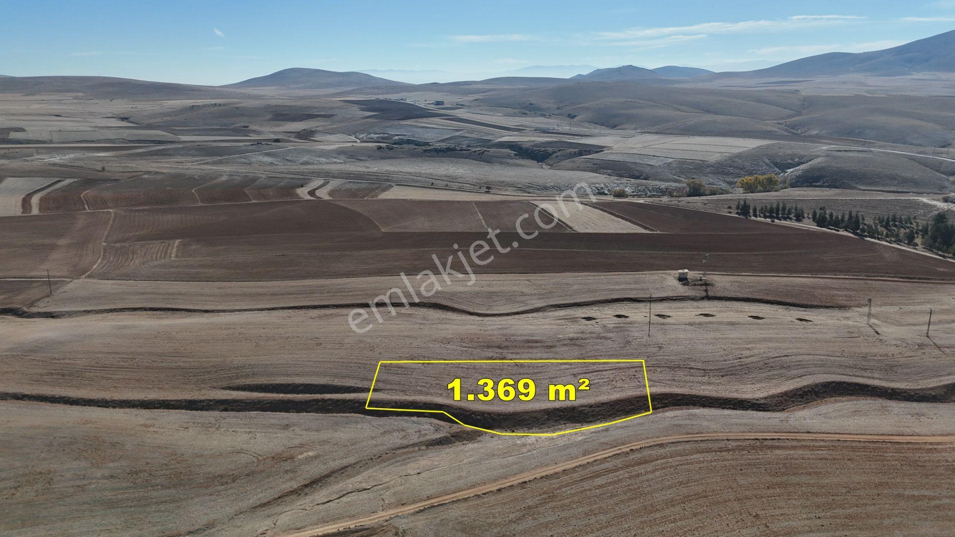 Konya / Ilgın / Dere Mahallesinde 1.369 M² Müstakil Tapulu Tarla - Görsel 4