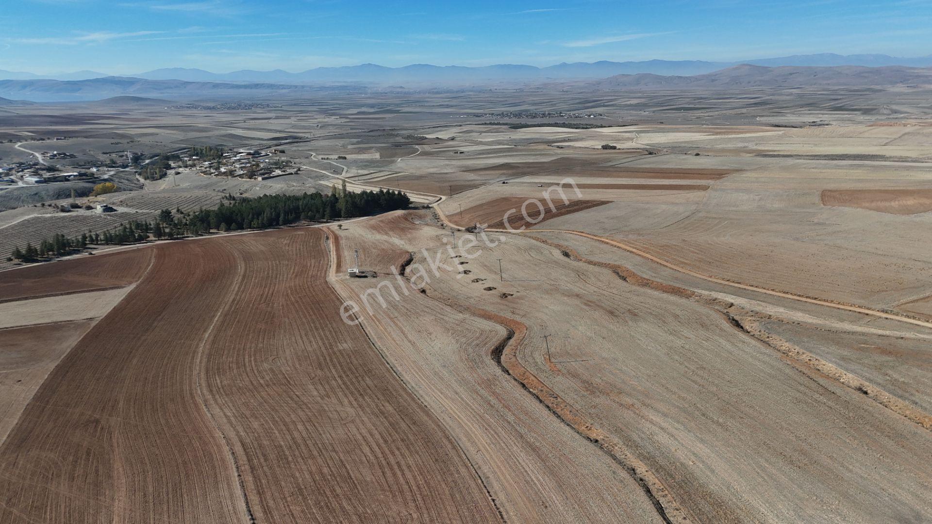 Konya / Ilgın / Dere Mahallesinde 1.369 M² Müstakil Tapulu Tarla - Görsel 14
