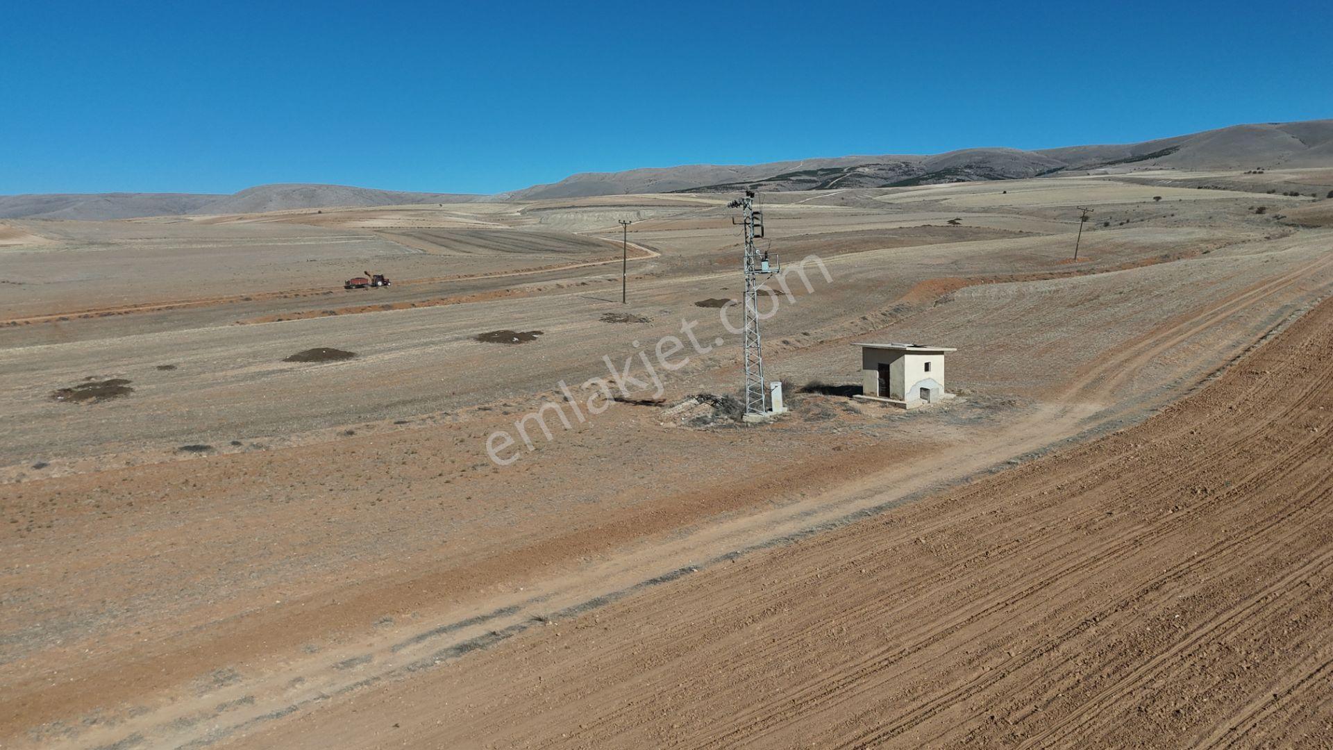 Konya / Ilgın / Dere Mahallesinde 1.369 M² Müstakil Tapulu Tarla - Görsel 19