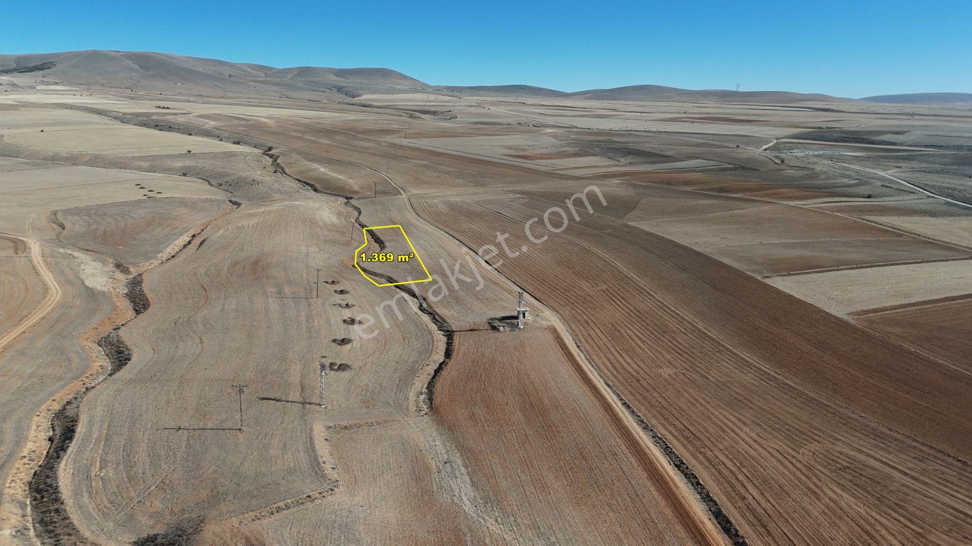Konya / Ilgın / Dere Mahallesinde 1.369 M² Müstakil Tapulu Tarla - Görsel 3
