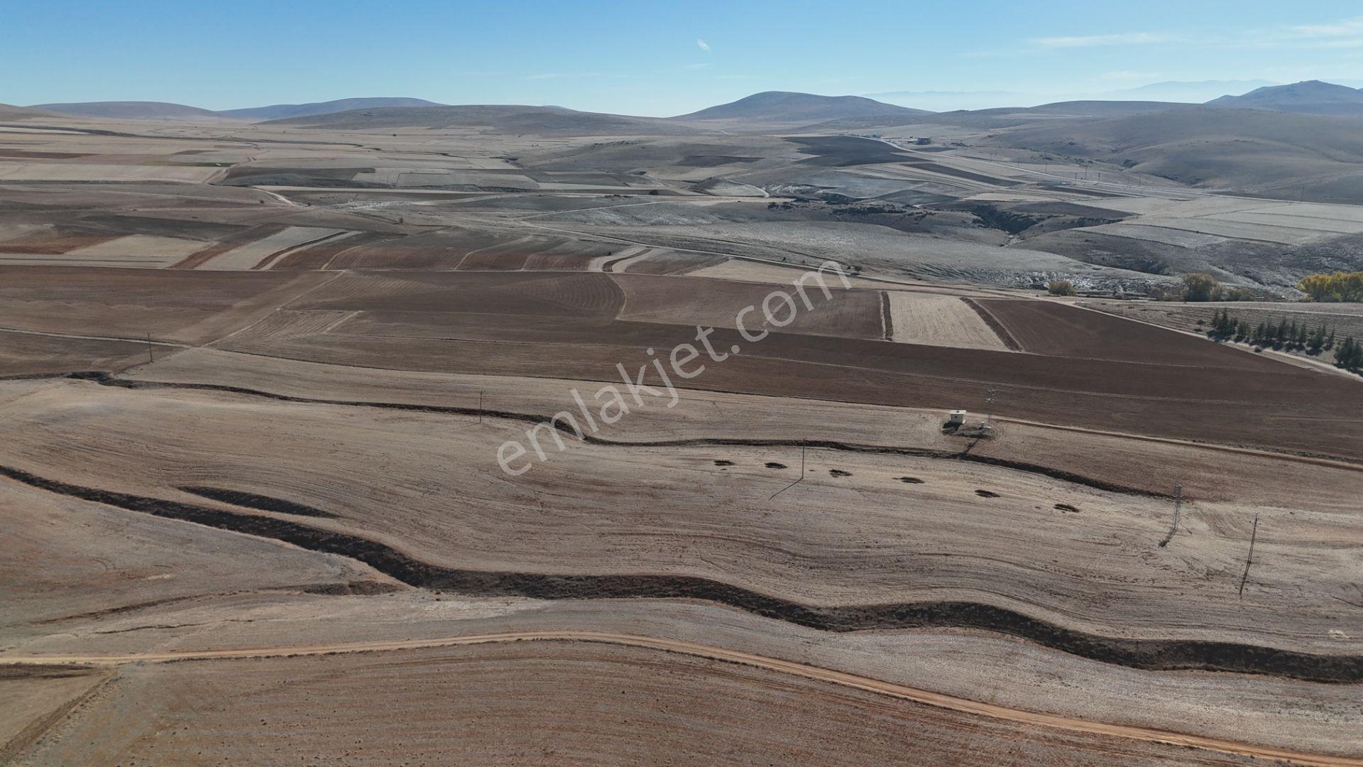 Konya / Ilgın / Dere Mahallesinde 1.369 M² Müstakil Tapulu Tarla - Görsel 9