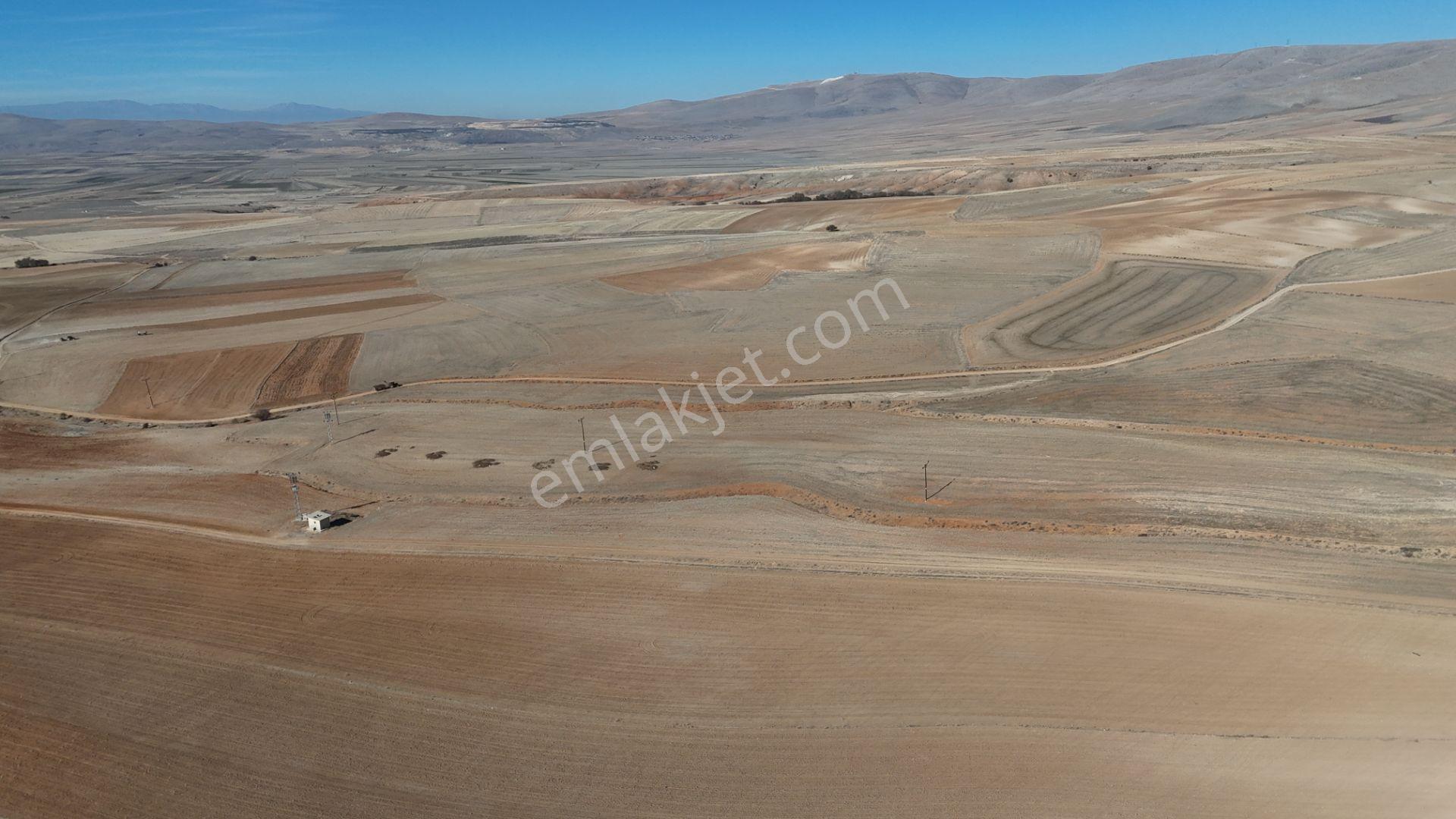Konya / Ilgın / Dere Mahallesinde 1.369 M² Müstakil Tapulu Tarla - Görsel 18