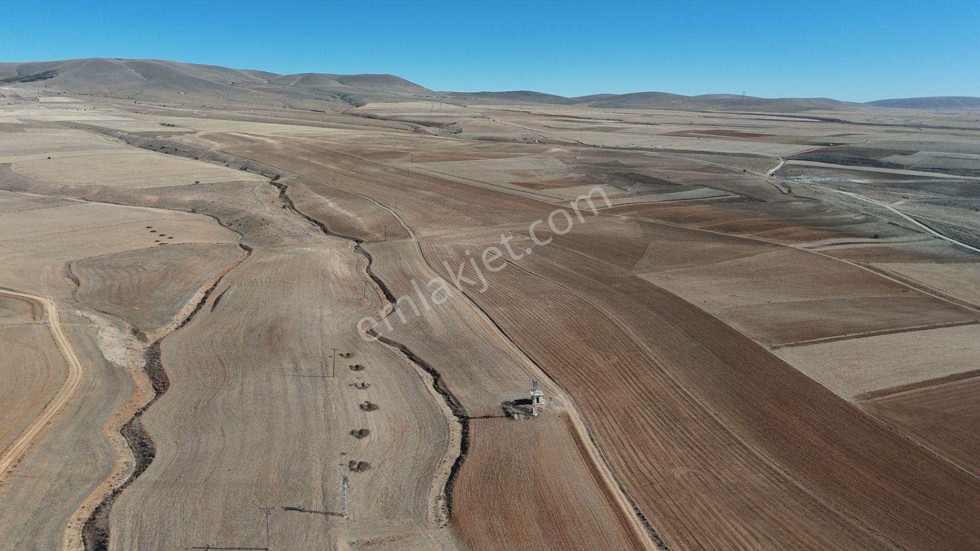 Konya / Ilgın / Dere Mahallesinde 1.369 M² Müstakil Tapulu Tarla - Görsel 5