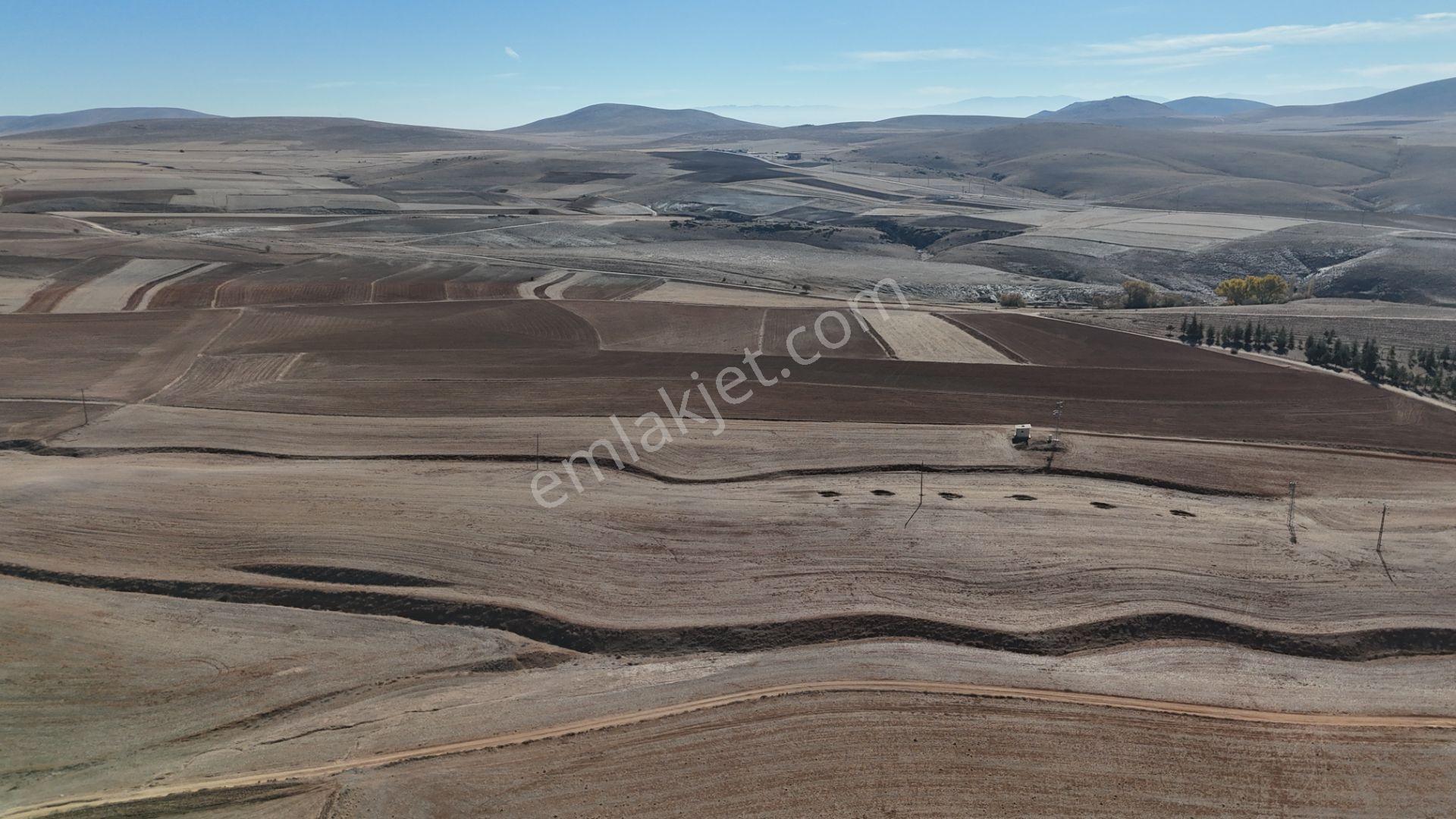 Konya / Ilgın / Dere Mahallesinde 1.369 M² Müstakil Tapulu Tarla - Görsel 10