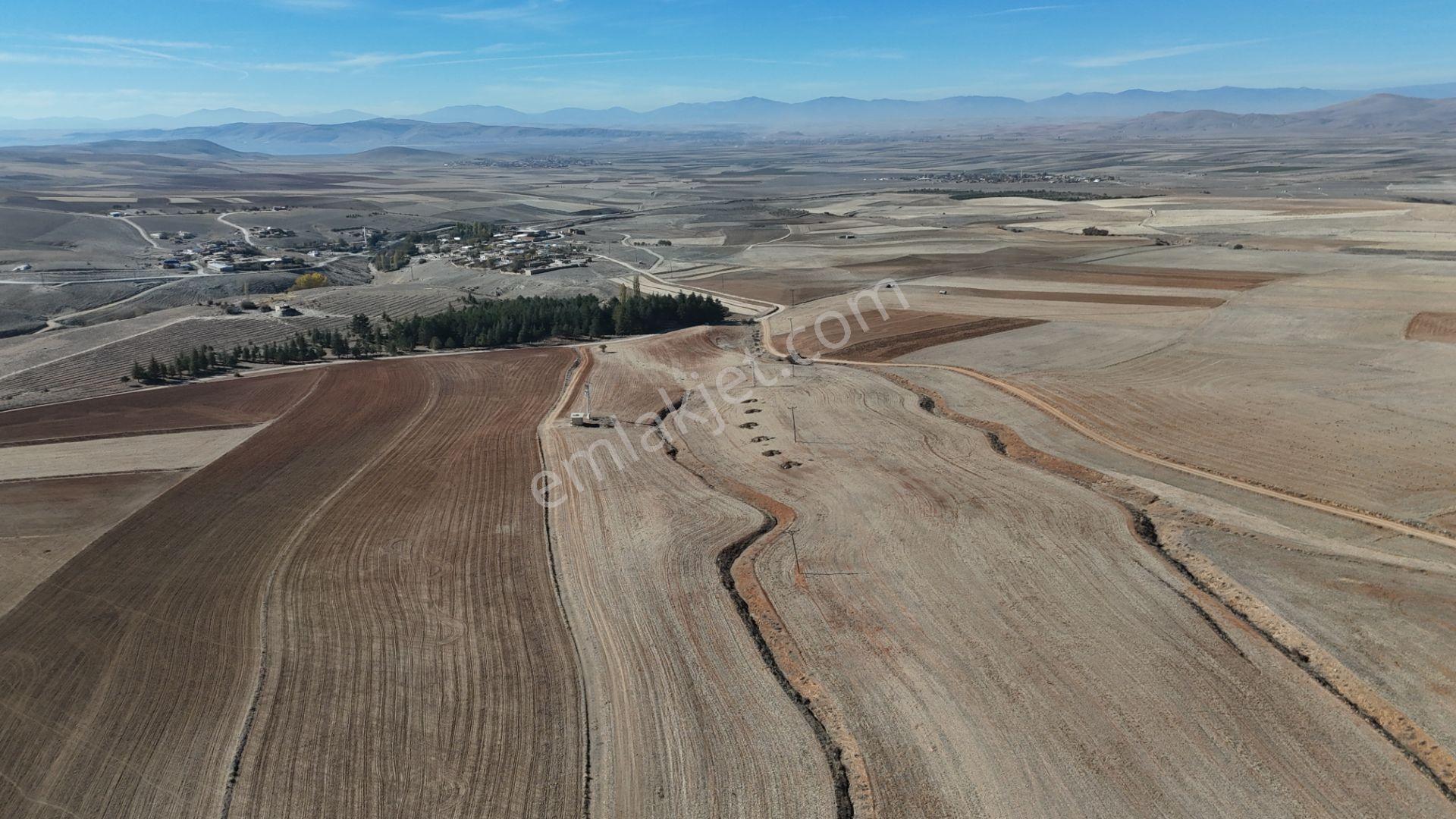 Konya / Ilgın / Dere Mahallesinde 1.369 M² Müstakil Tapulu Tarla - Görsel 13