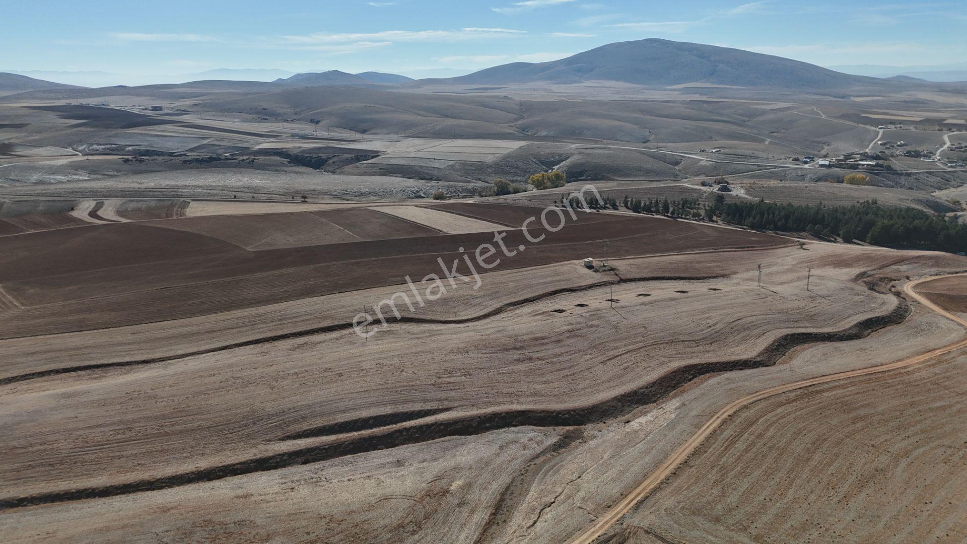 Konya / Ilgın / Dere Mahallesinde 1.369 M² Müstakil Tapulu Tarla - Görsel 11