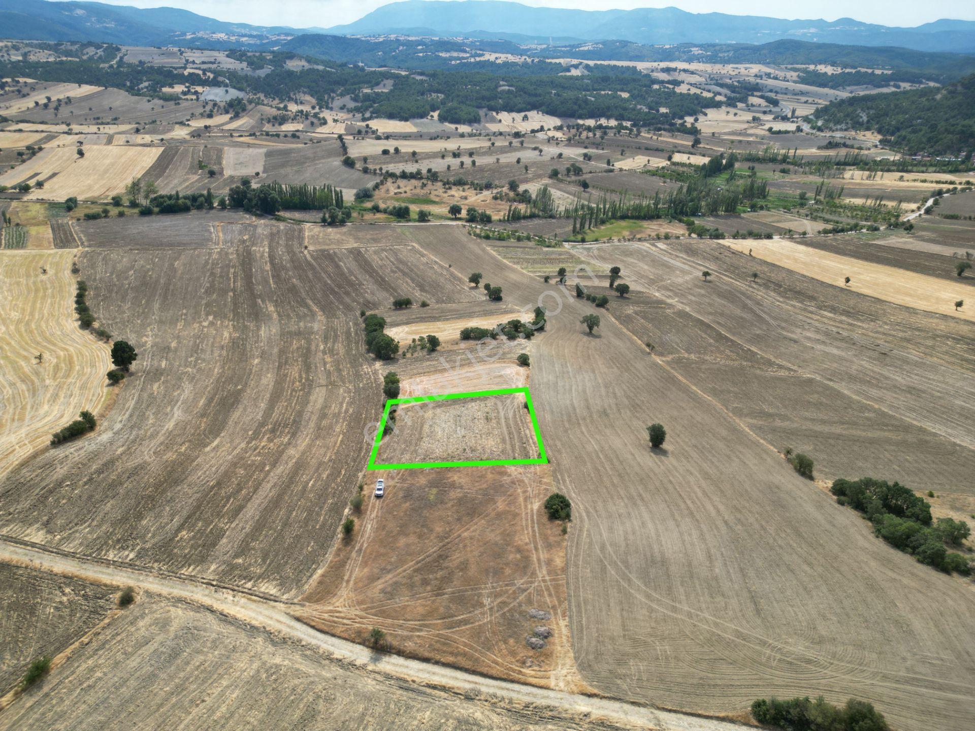 Kütahya Gediz Aliağa Köyü 1512 M2 Satılık Yatırımlık Verimli Tarla - Görsel 2