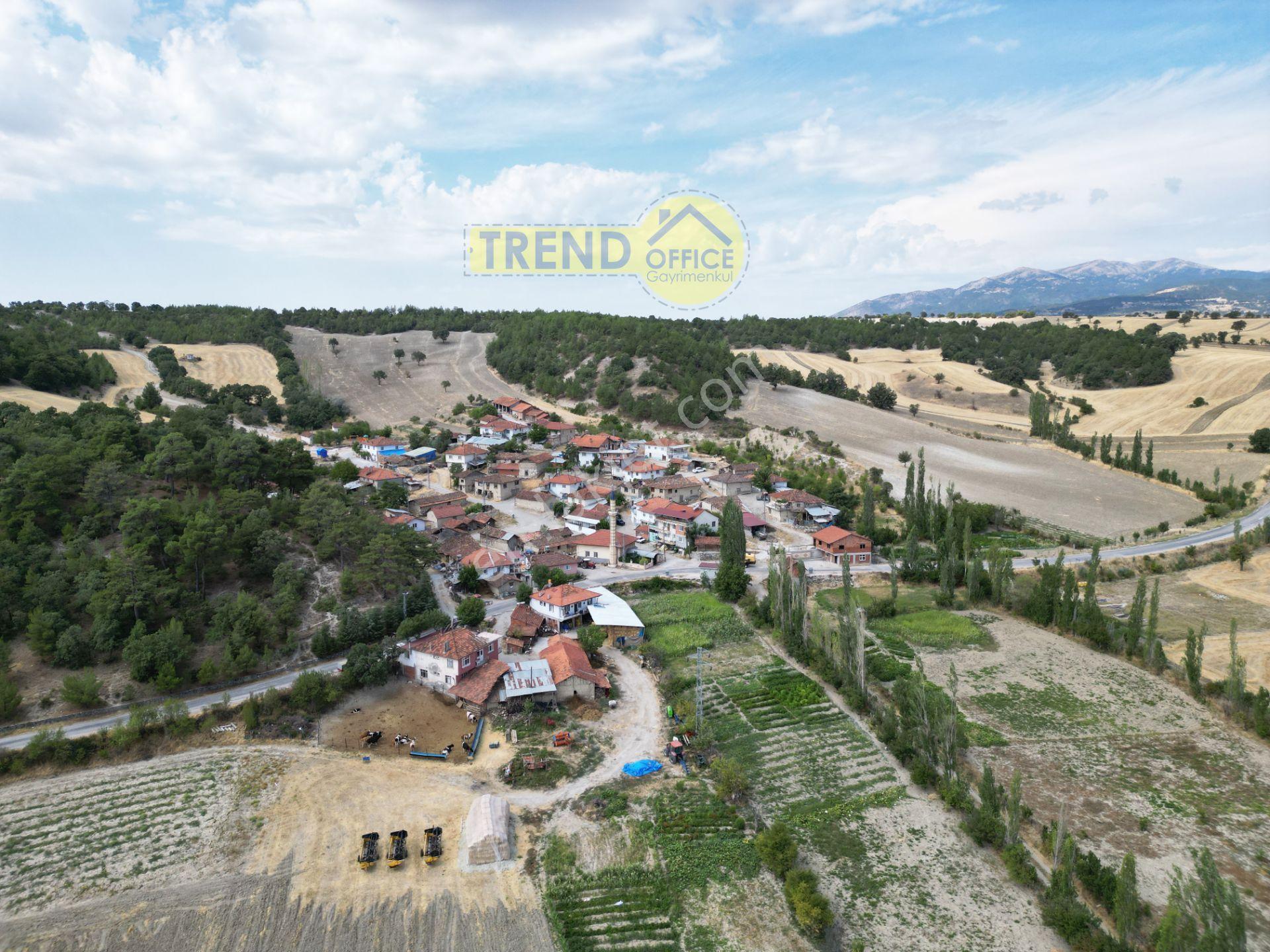 Kütahya Gediz Aliağa Köyü 1512 M2 Satılık Yatırımlık Verimli Tarla