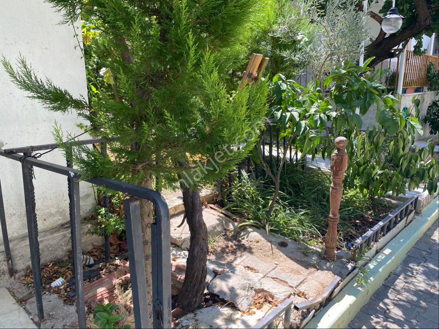 |global| Acil Satılık Daire Fiyatına Villa - Görsel 17