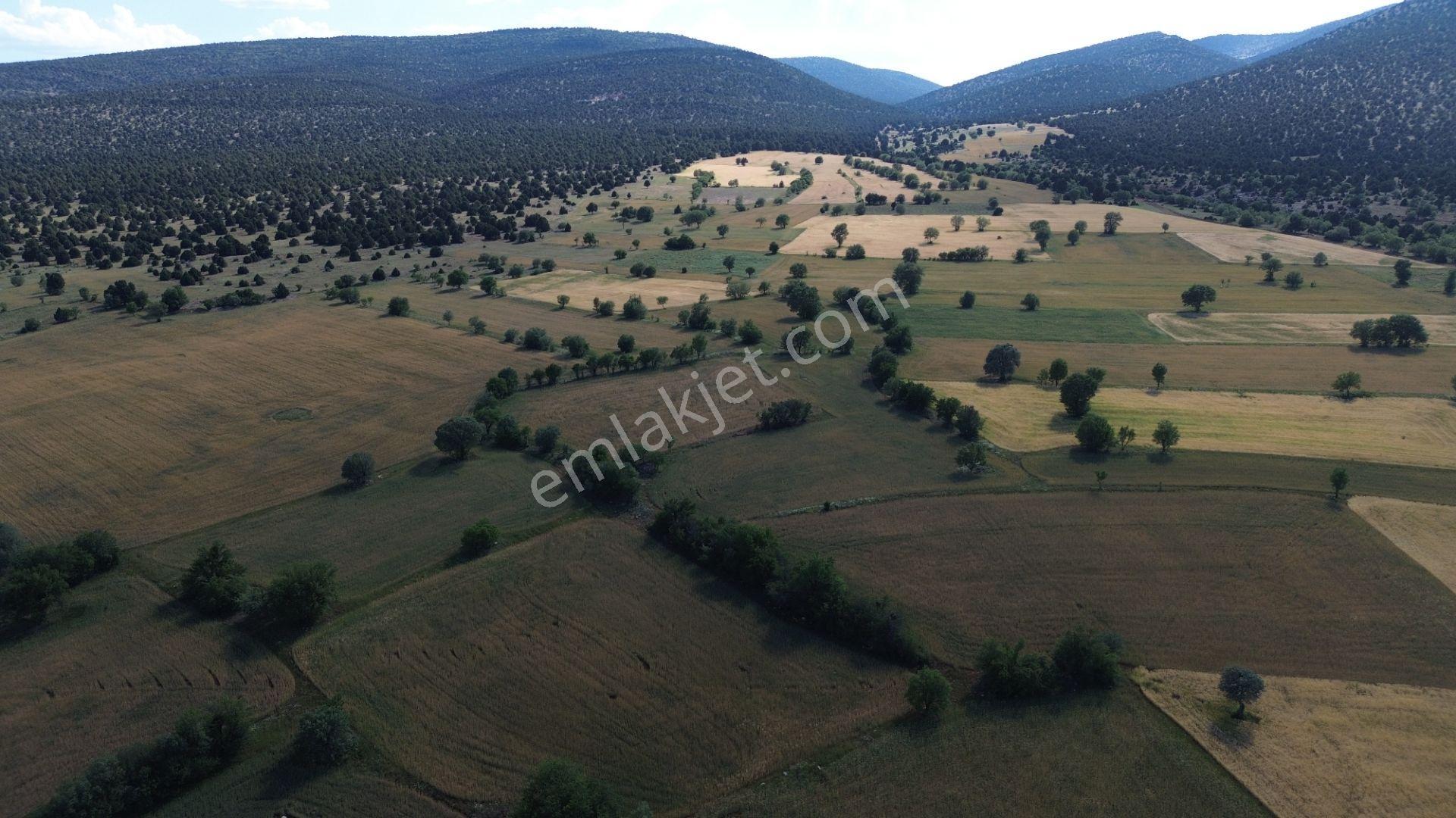 Akören / Karahüyük De 3.402 M² Satılık Kupon Tarla - Görsel 6