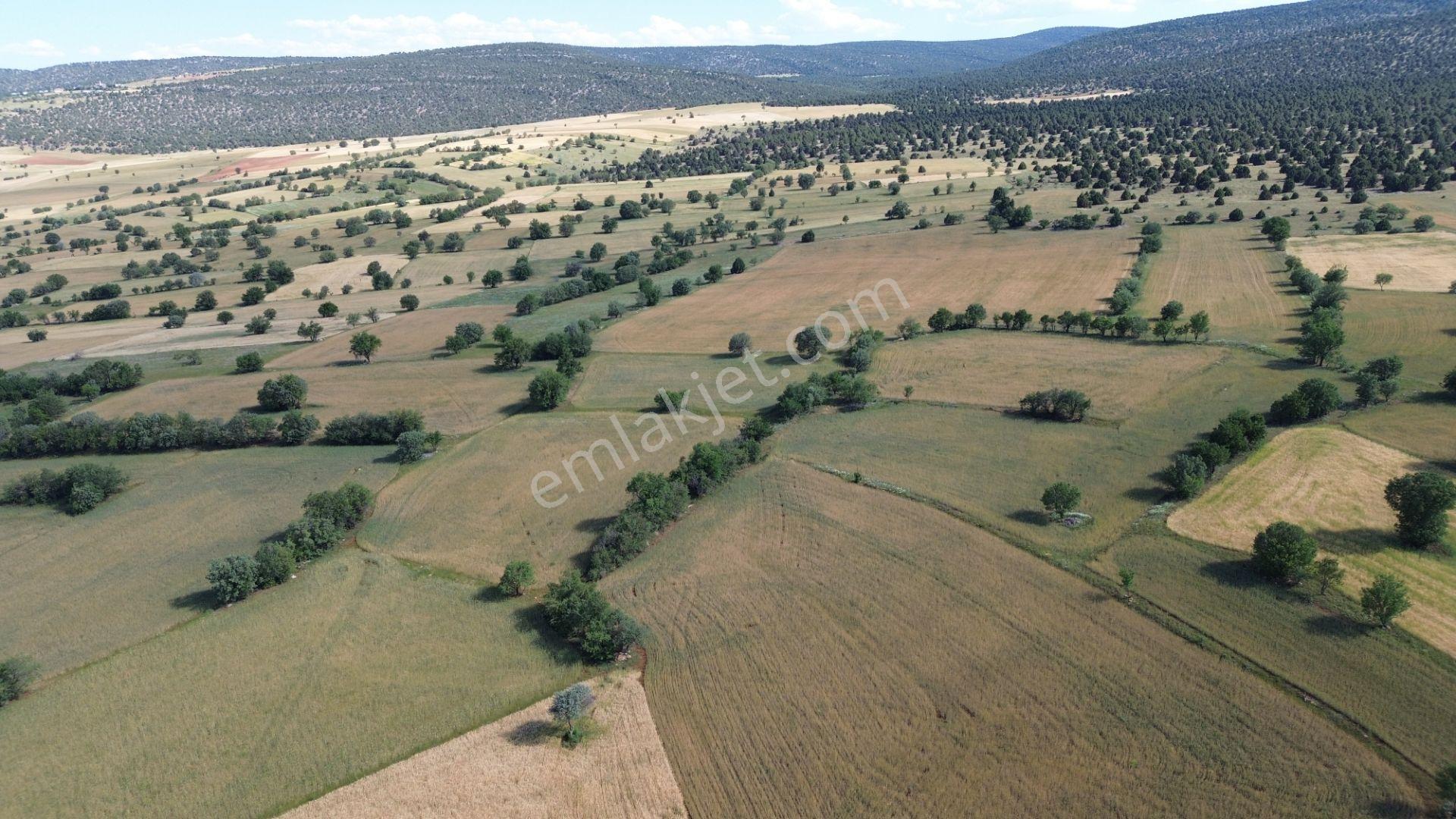 Akören / Karahüyük De 3.402 M² Satılık Kupon Tarla - Görsel 9