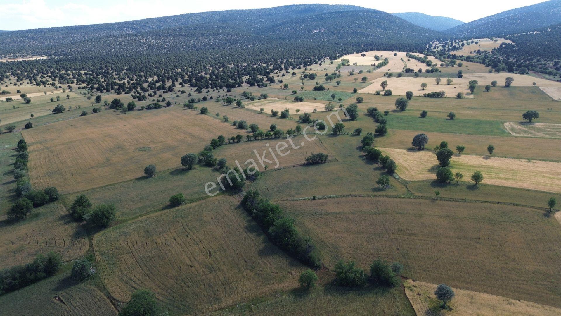 Akören / Karahüyük De 3.402 M² Satılık Kupon Tarla - Görsel 7