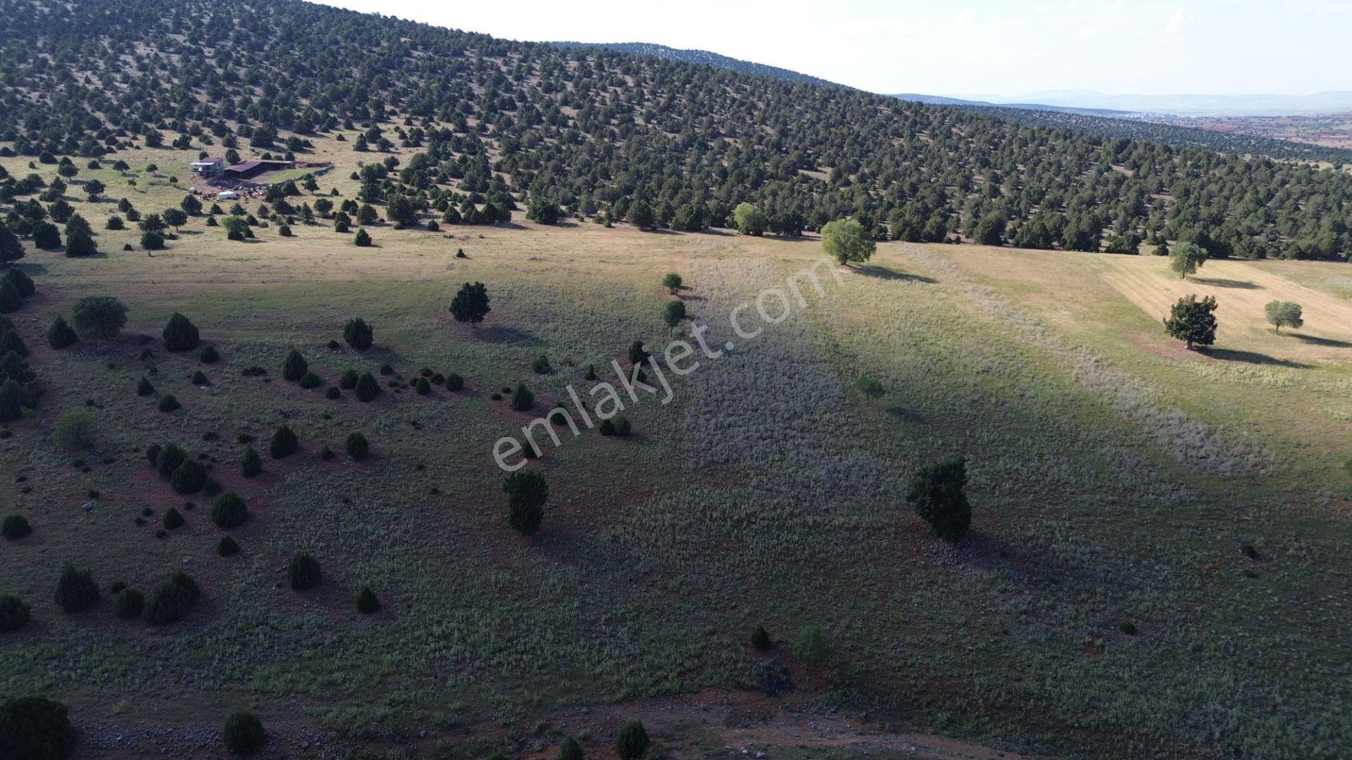 Akören / Karahüyük De 3.402 M² Satılık Kupon Tarla - Görsel 10