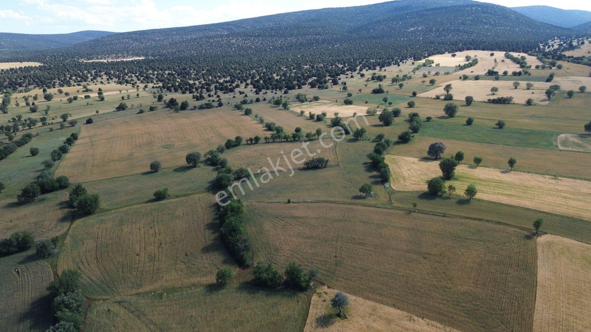 Akören / Karahüyük De 3.402 M² Satılık Kupon Tarla - Görsel 8