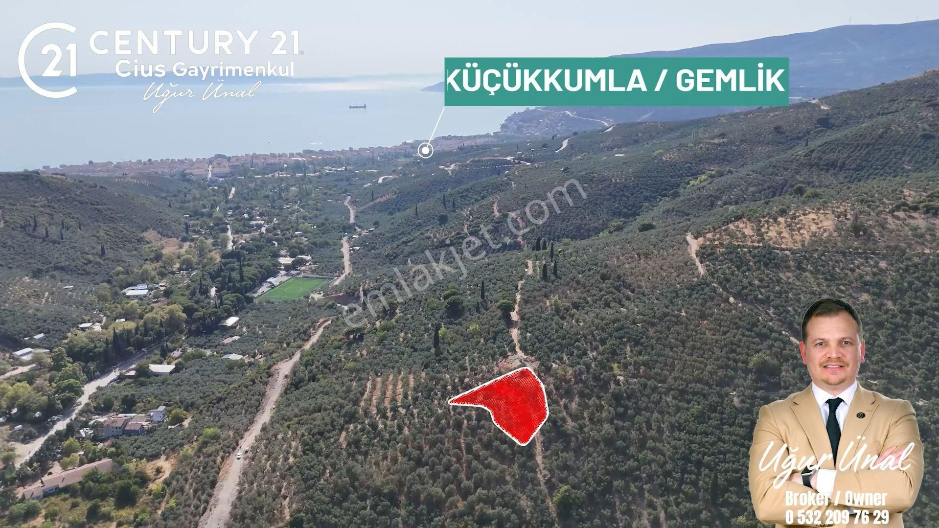 C21cius: Kumla Köy Üstü 2 Ayrı Tapulu 2581 M2 Zeytinlik
