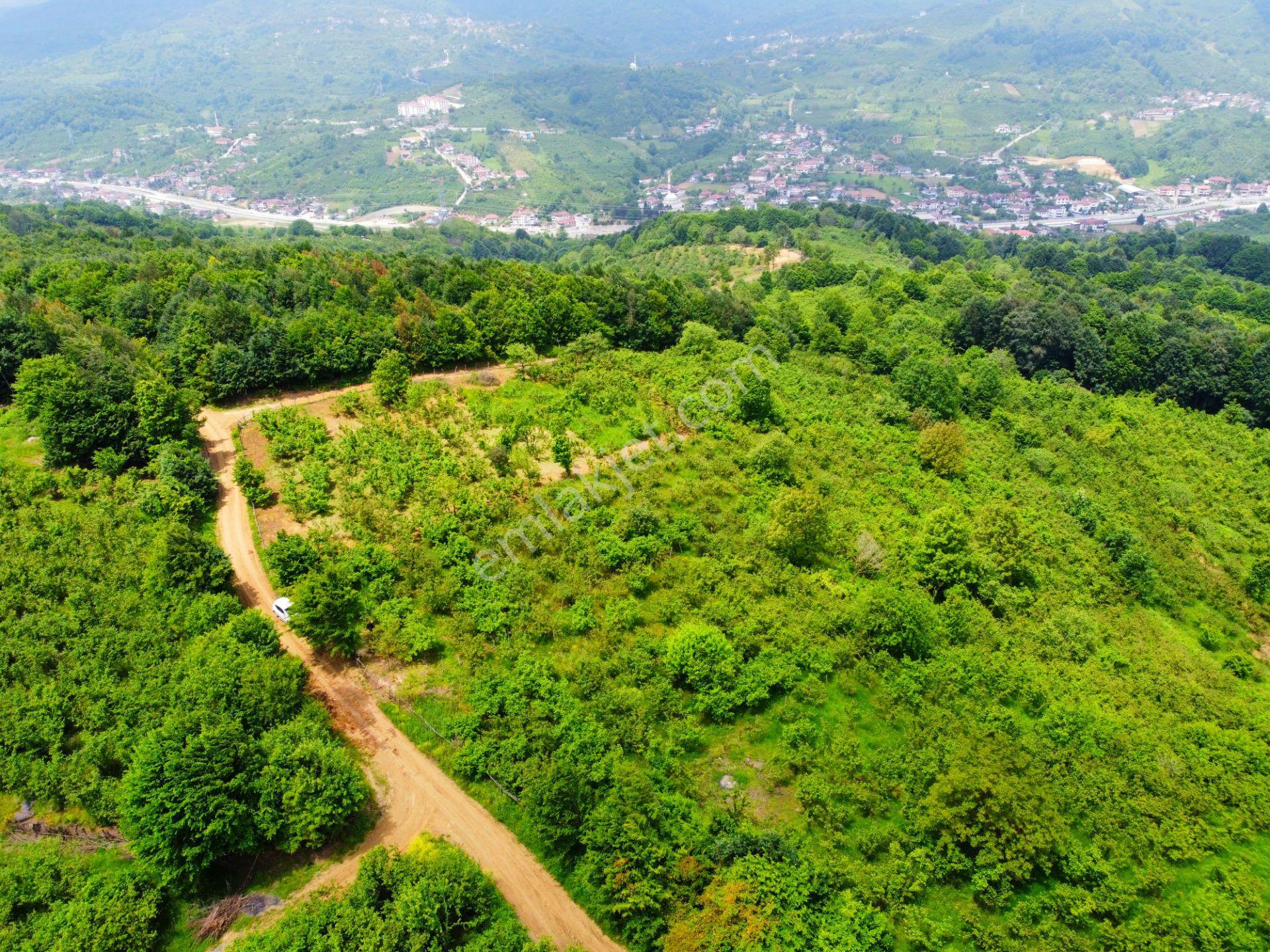 Hak Emlak'tan Boğaziçi-kabalak Mah. Satılık 2.883m² Hobi Bahçesi - Görsel 22